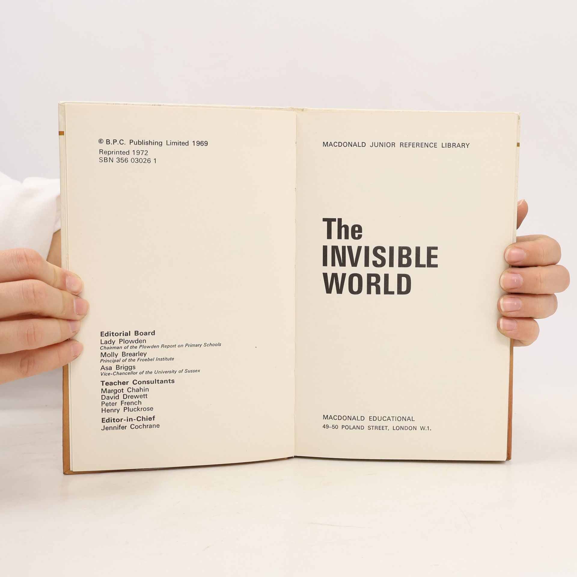 Kolektiv autorů The Invisible World