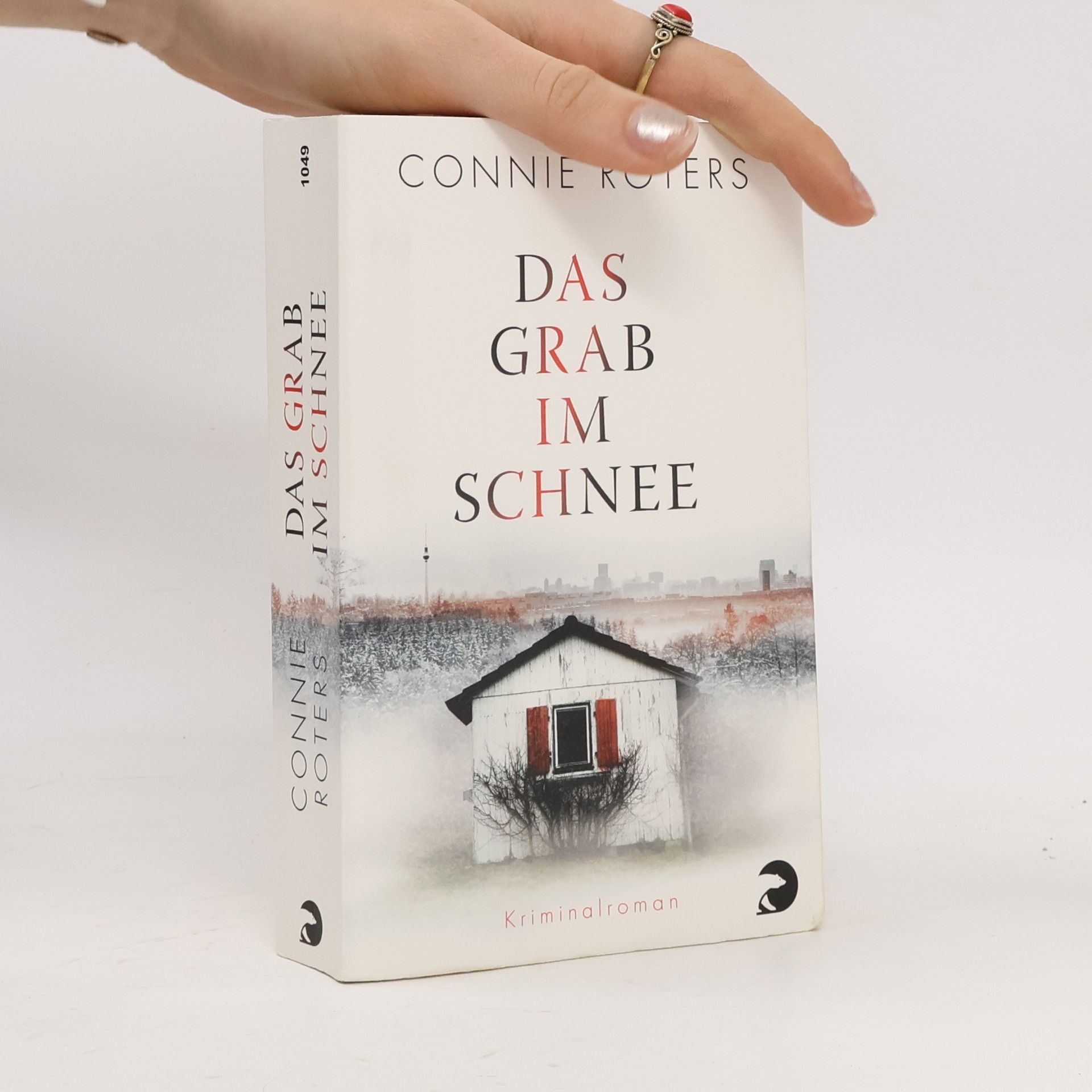 Connie Roters Das Grab im Schnee
