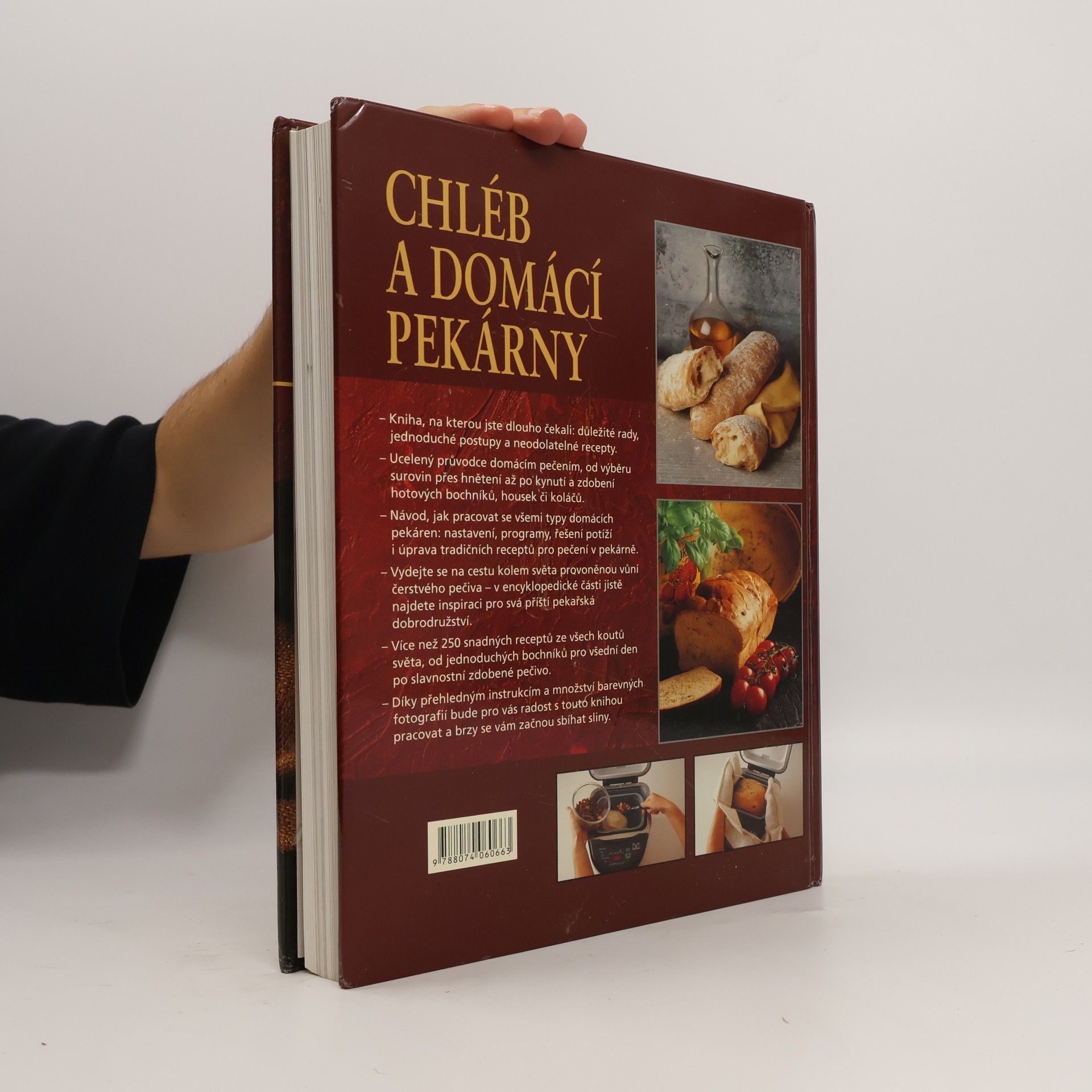 Autorenkollektiv Chléb a domácí pekárny