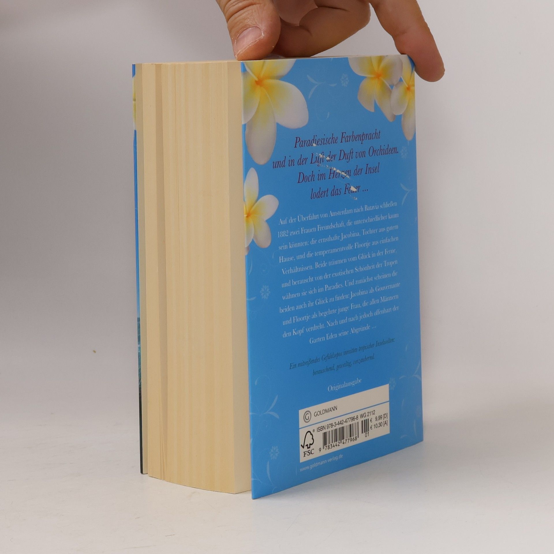 Nicole C. Vosseler Das Herz der Feuerinsel