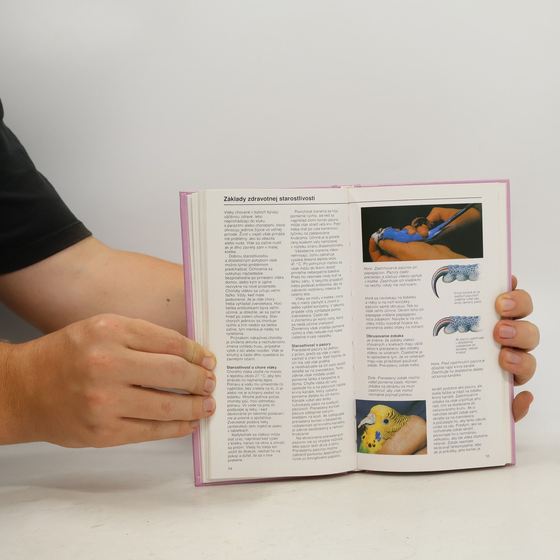 David Alderton Exotické vtáctvo
