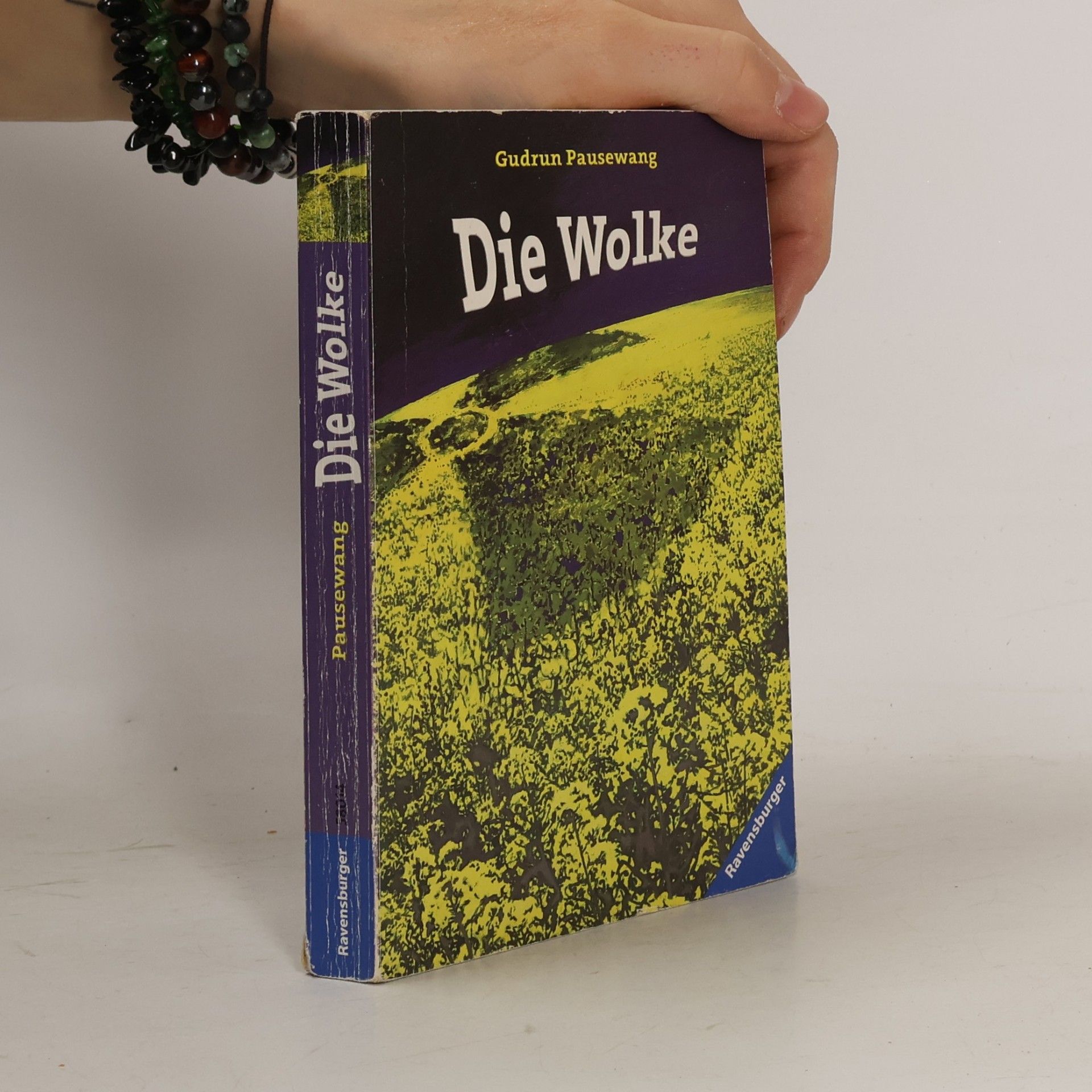 Gudrun Pausenwang Die Wolke