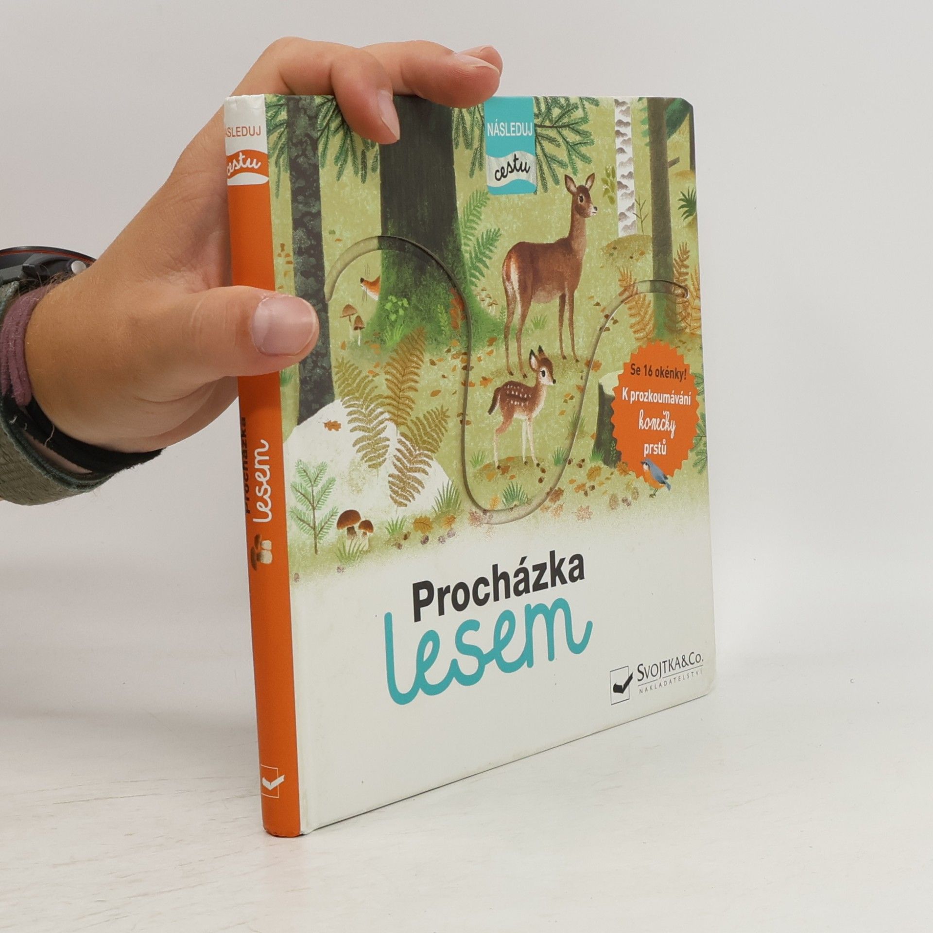 Julie Faulques Procházka lesem