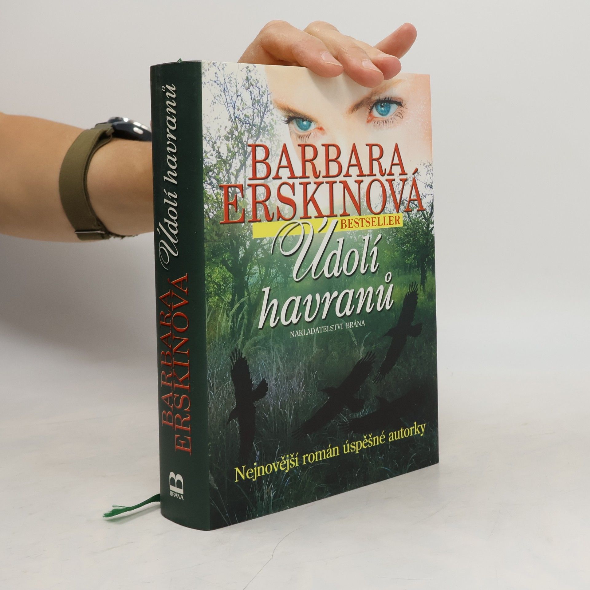 Barbara Erskine Údolí havranů
