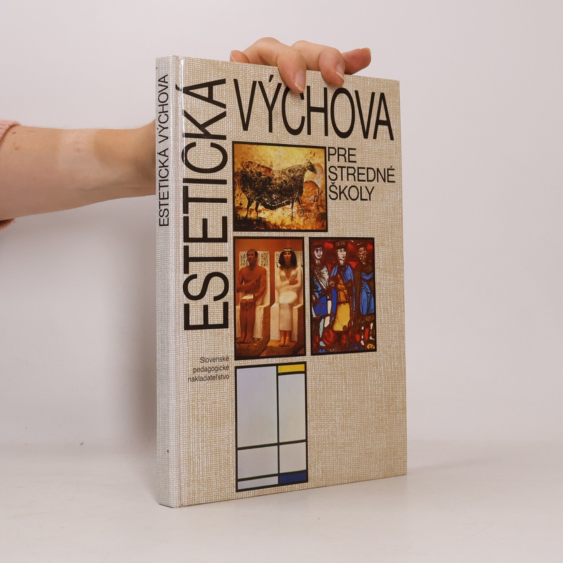 Collectif d'auteurs Estetická výchova pre stredné školy