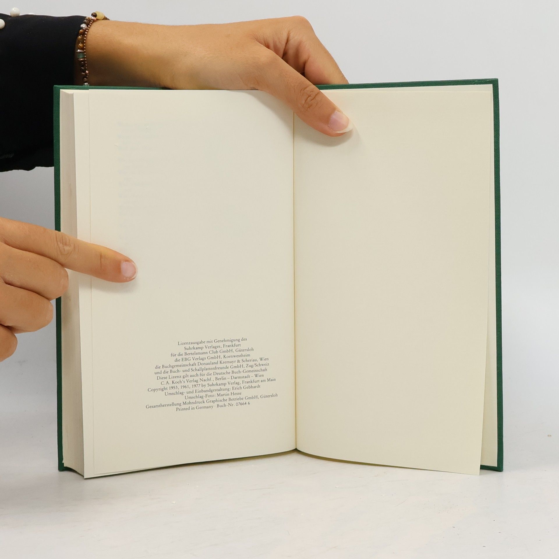 Hermann Hesse Erzählungen Gedichte