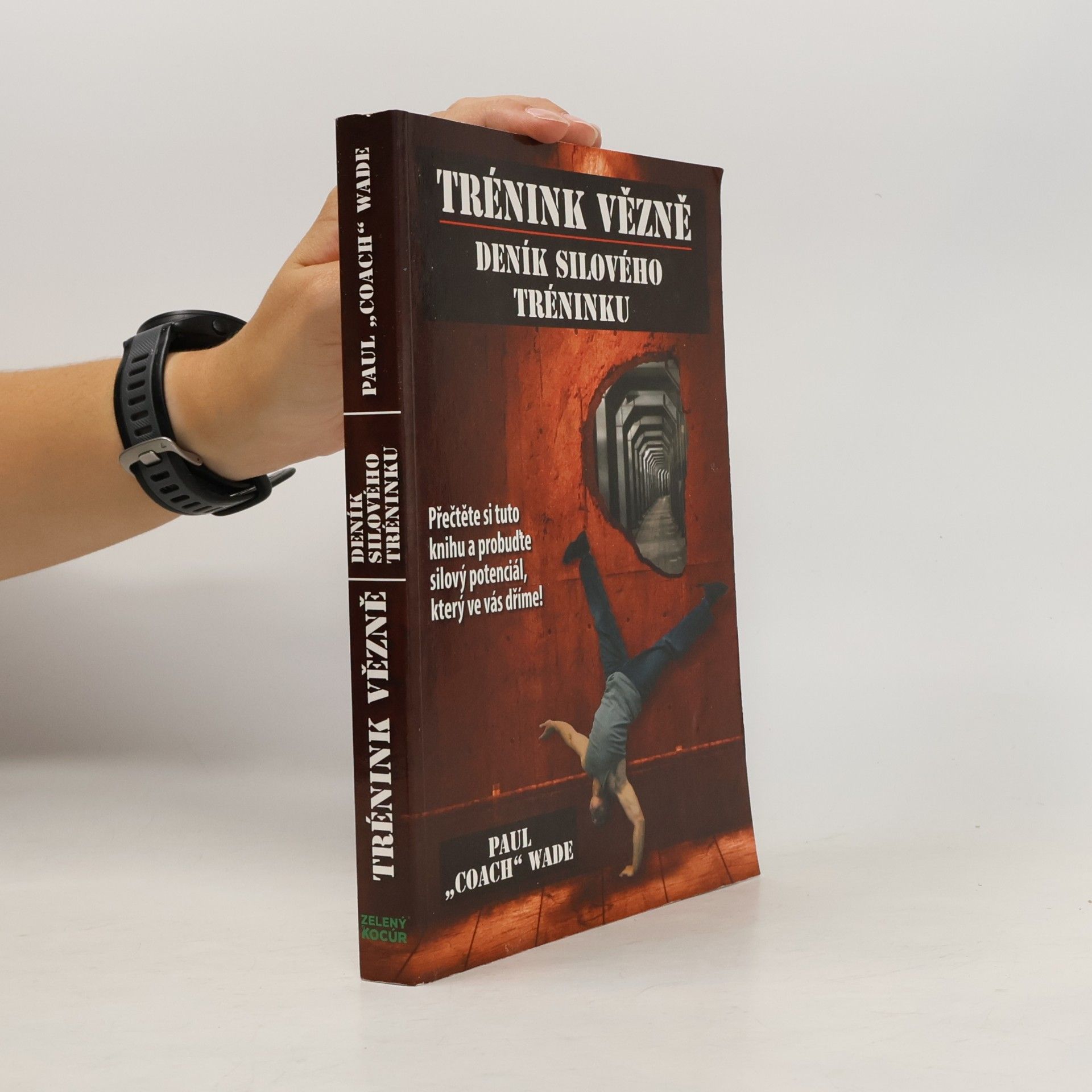 Paul Wade Trénink vězně - Deník silového tréninku