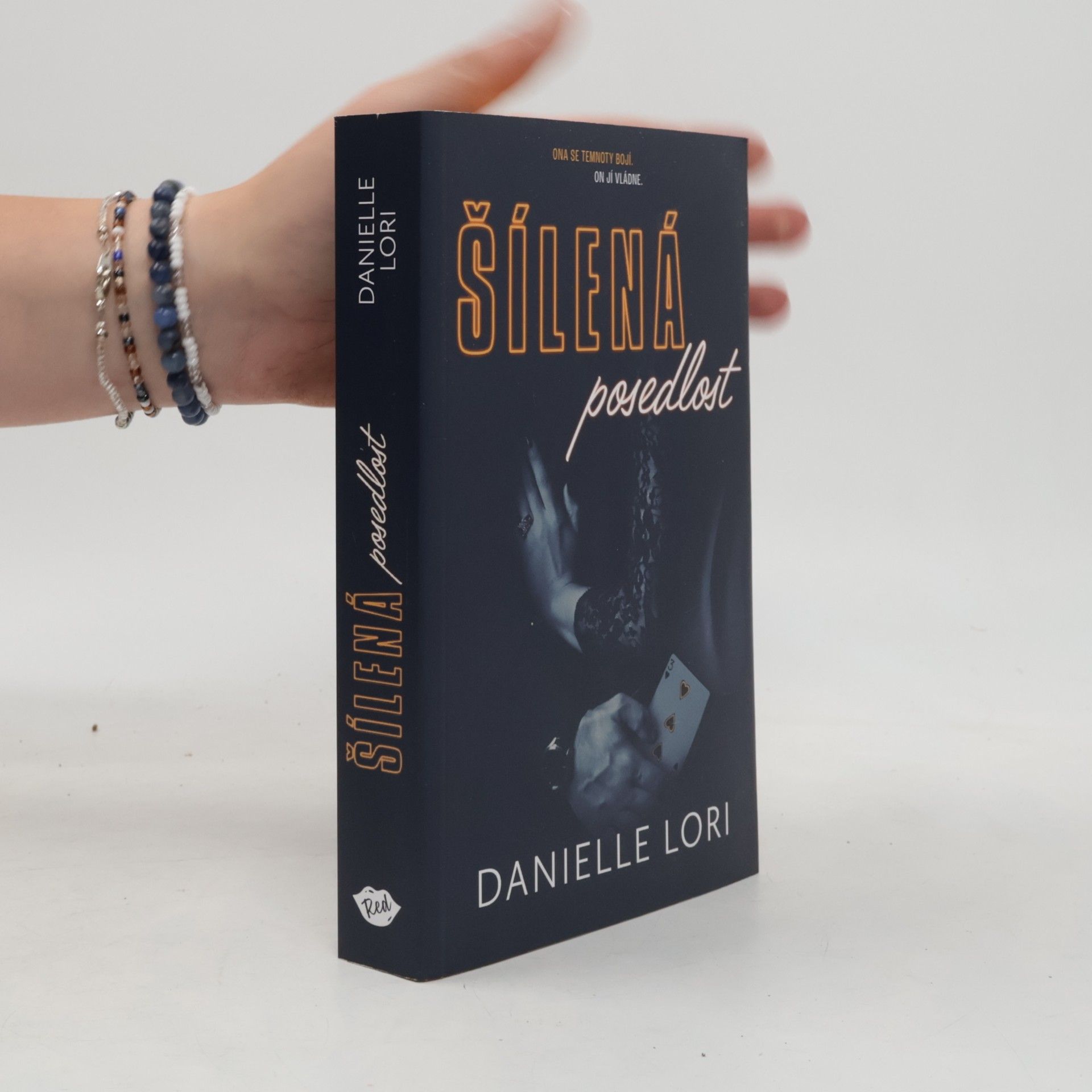 Danielle Lori Šílená posedlost