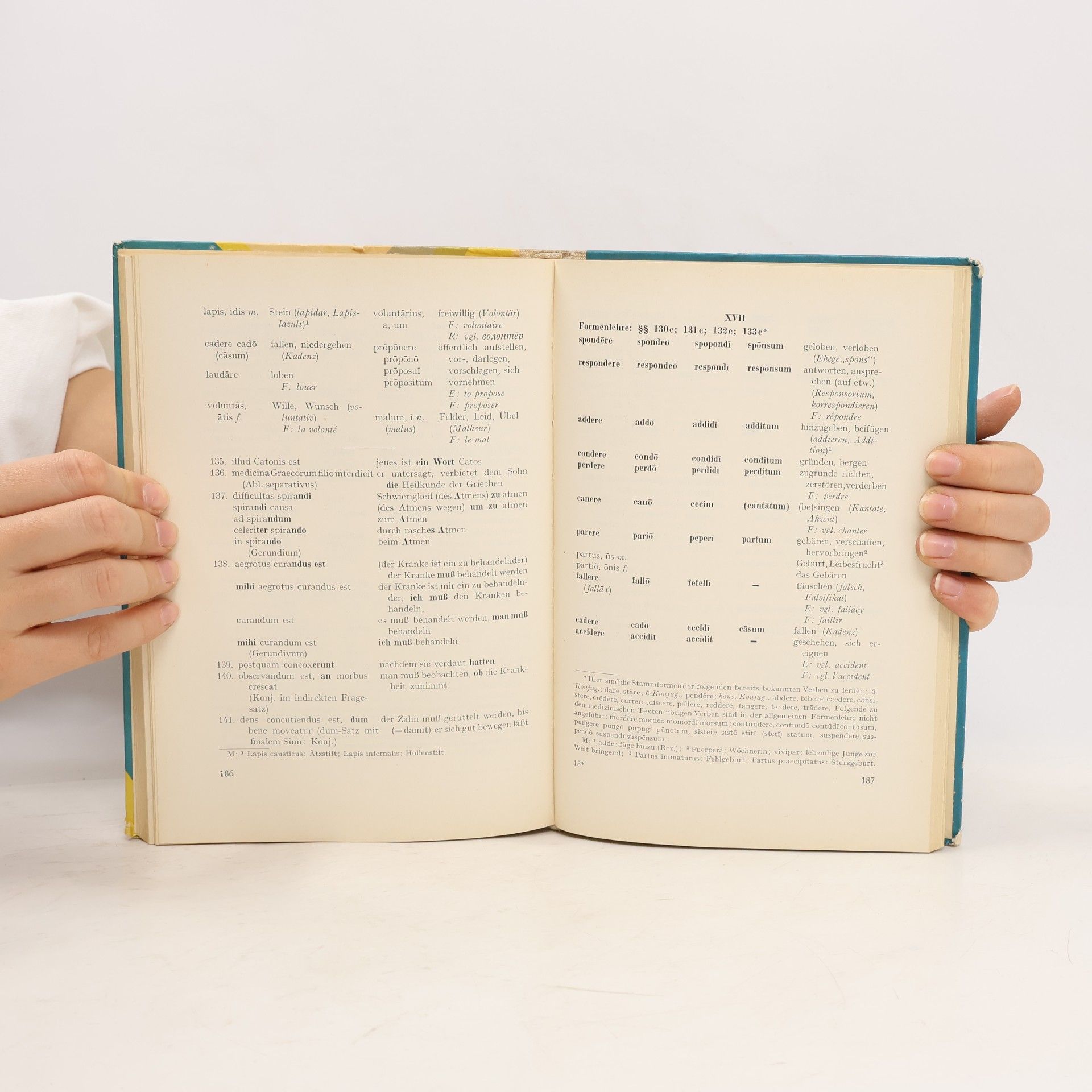 Ilse Schneider Lingua Latina medicinalis