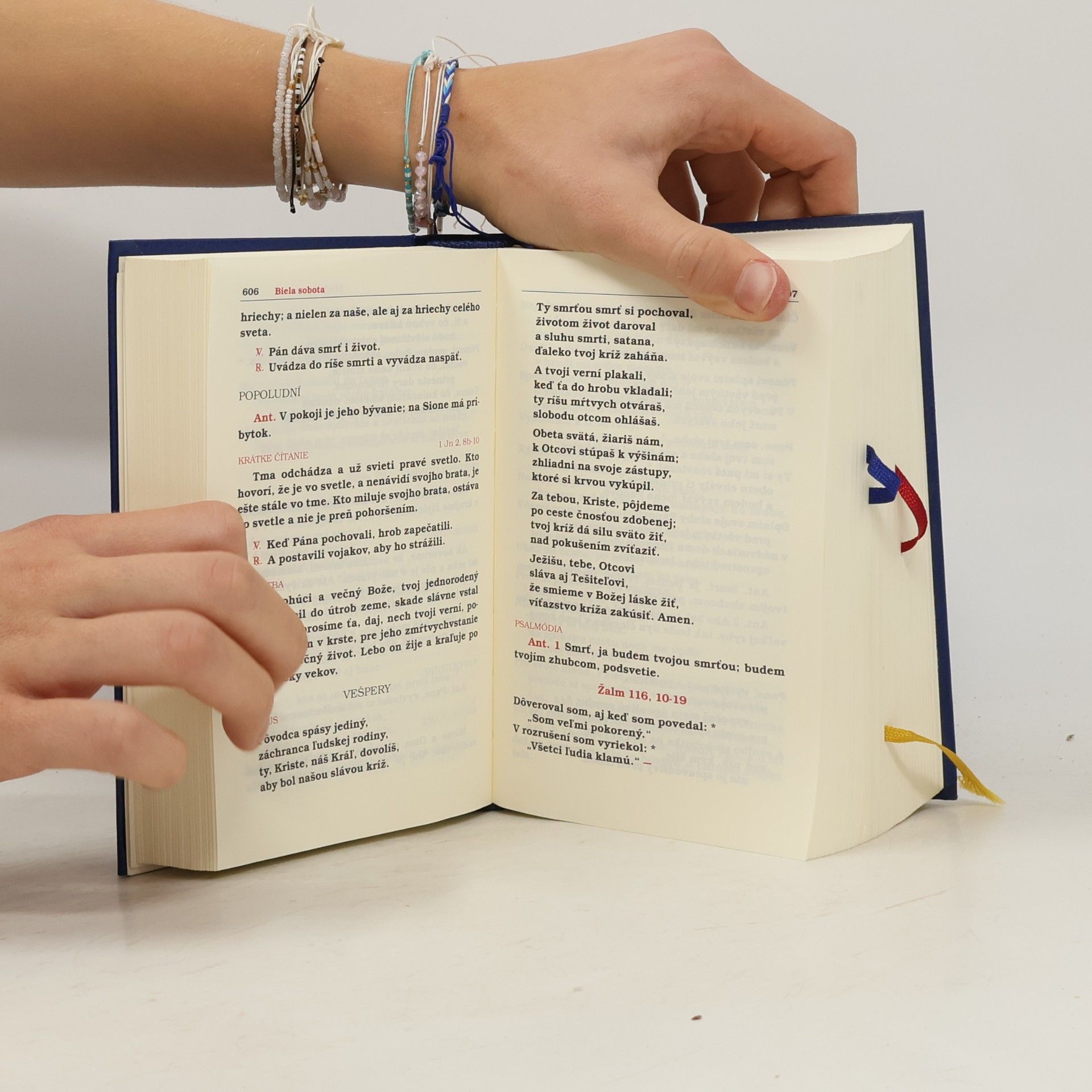 Various authors Liturgia hodín na posvätenie času