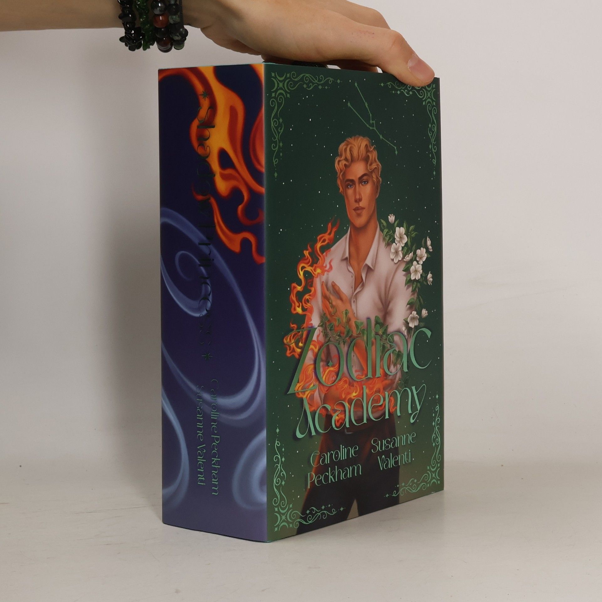 Die Schattenprinzessin 4
