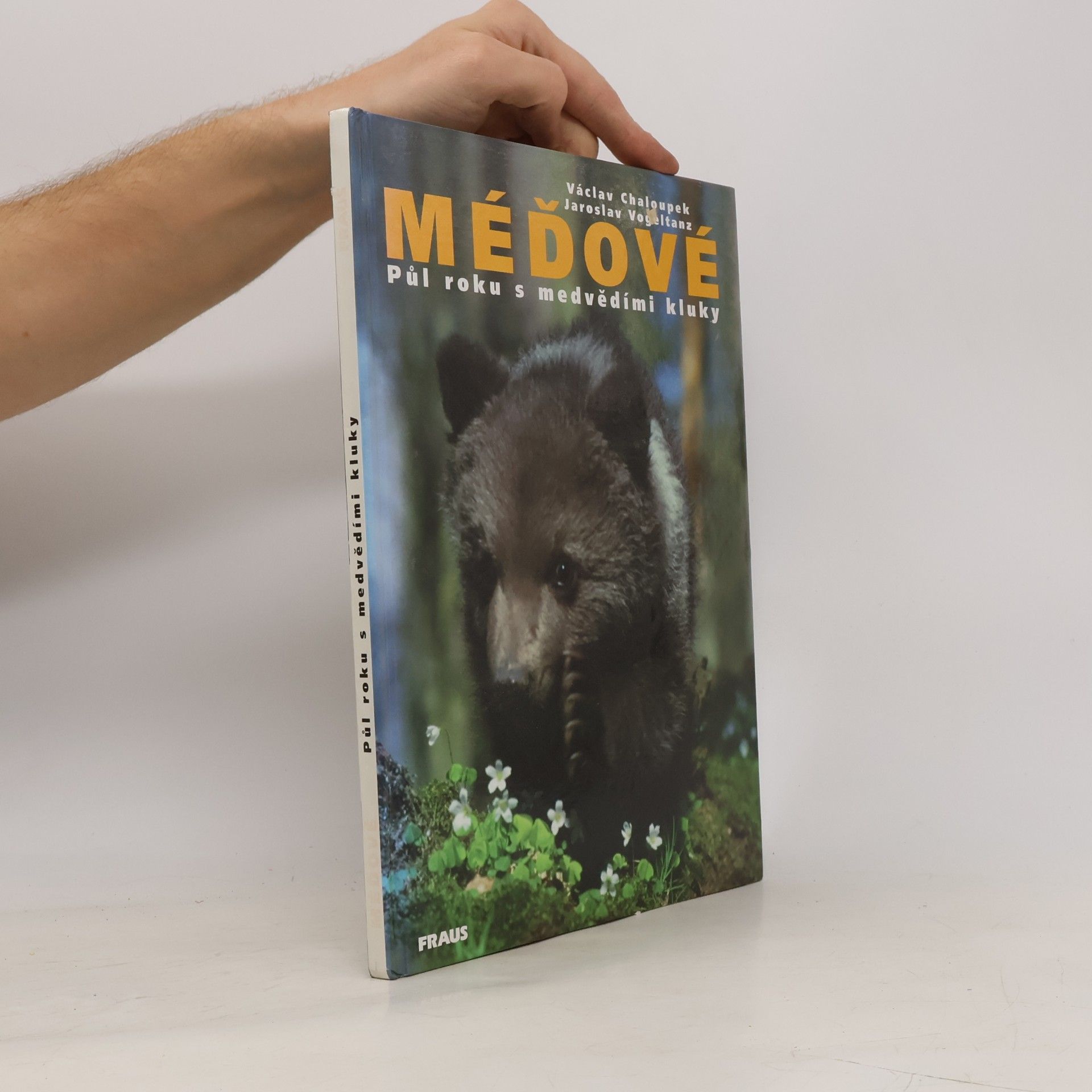 Václav Chaloupek Méďové. Půl roku s medvědími kluky