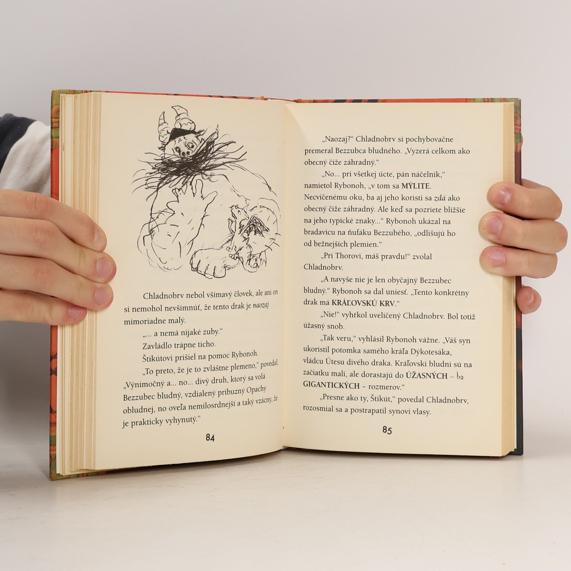 Cressida Cowell Ako si vycvičiť draka