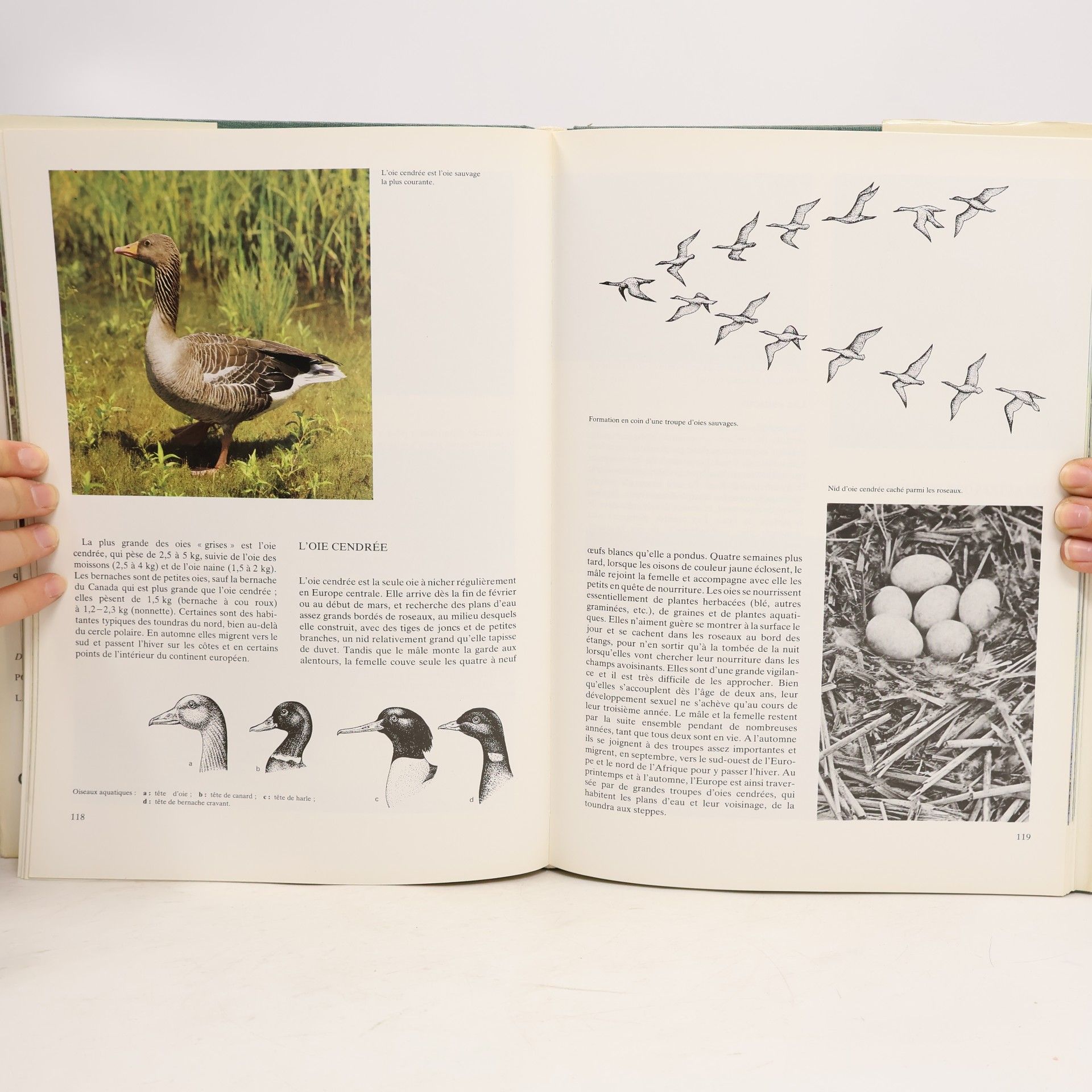 Miroslav Poruba Sur les traces des animaux