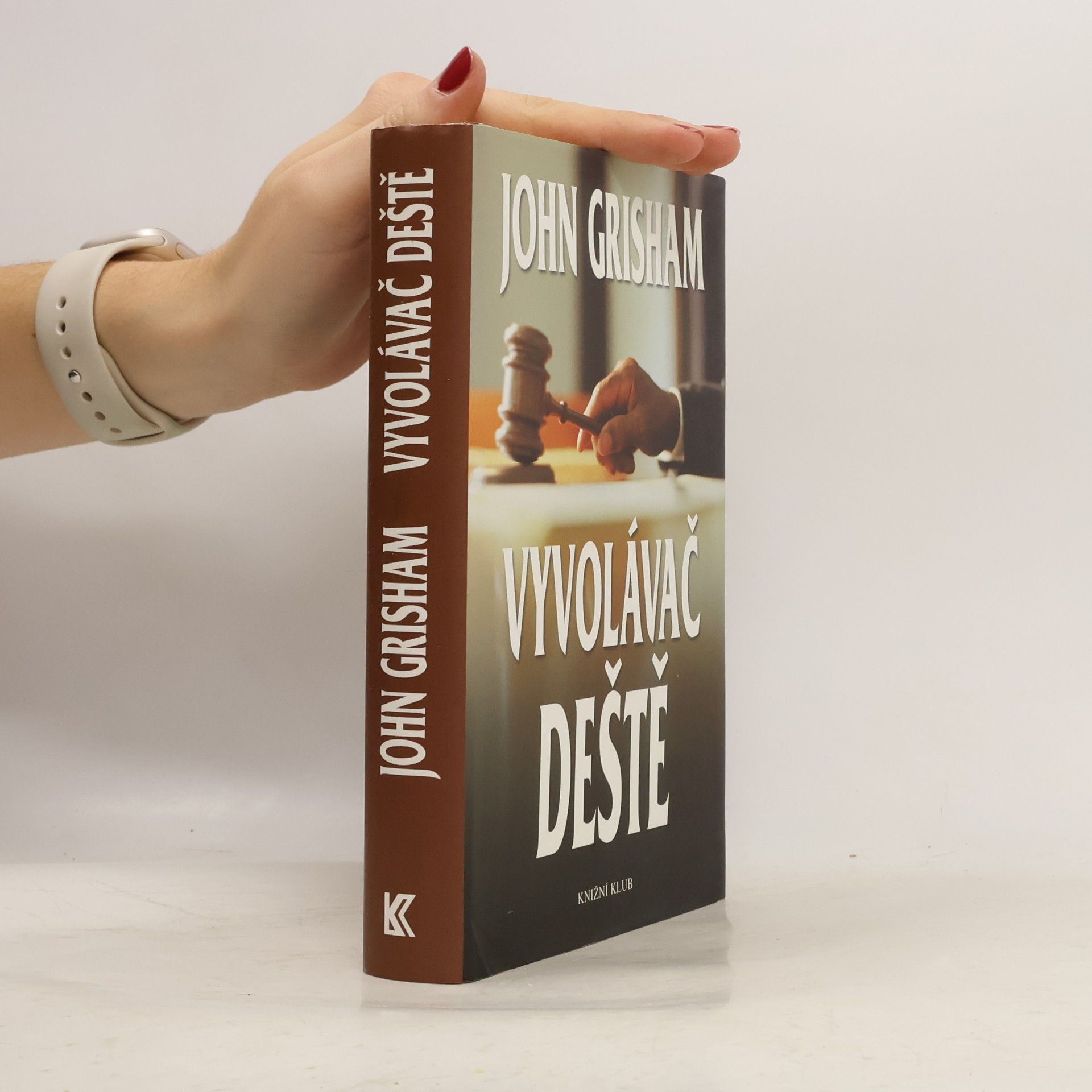 John Grisham Vyvolávač deště