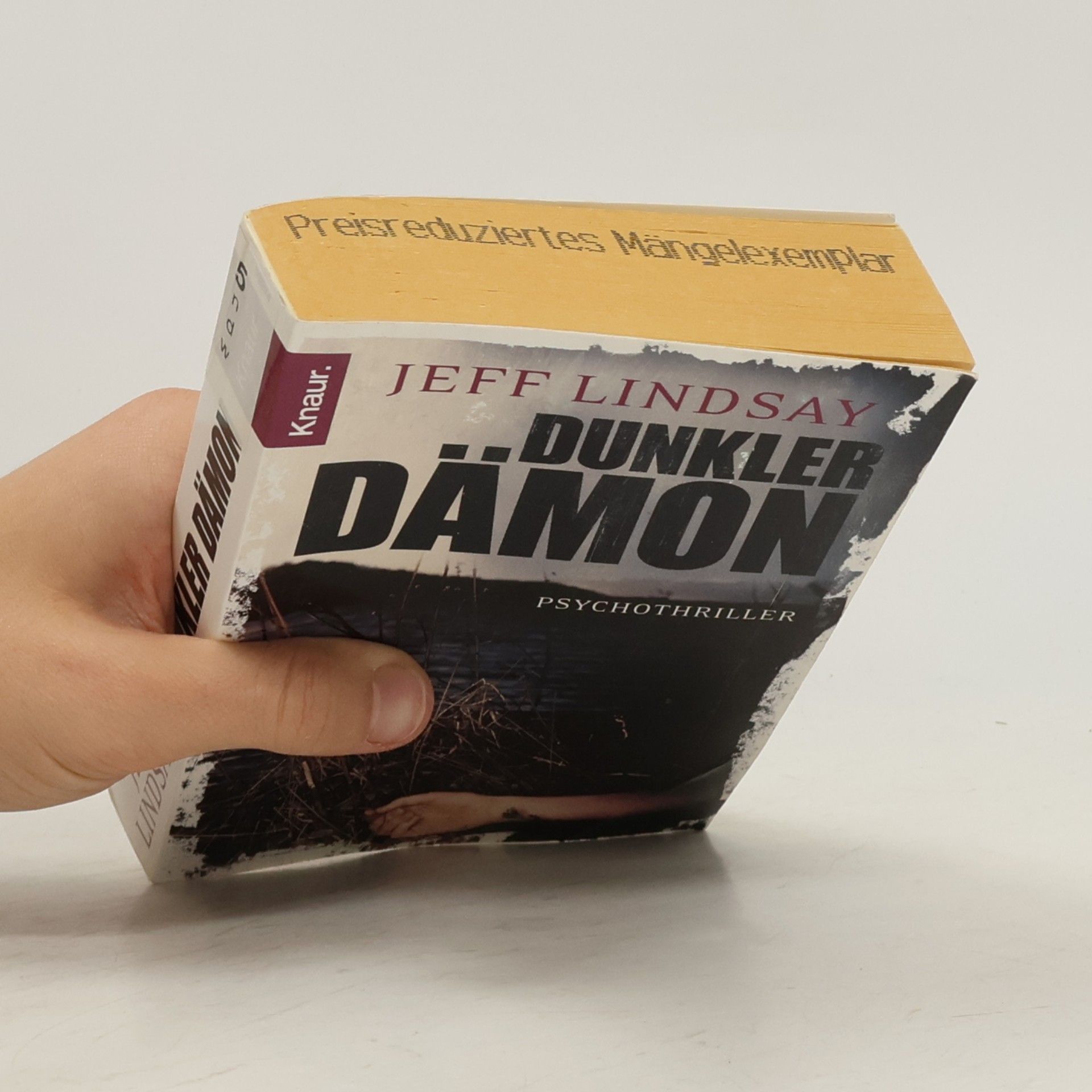 Jeff Lindsay Dunkler Dämon
