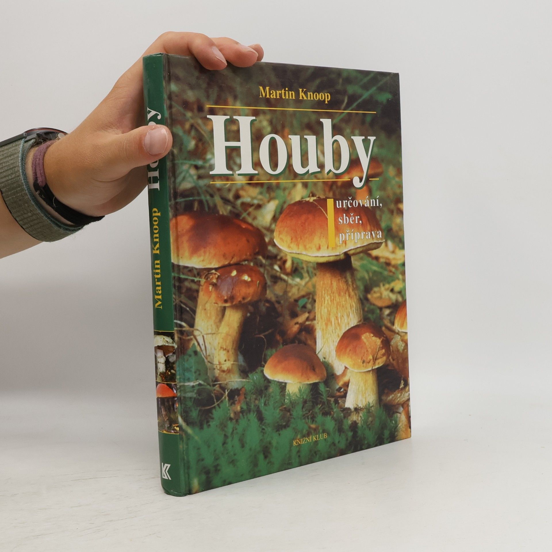 Houby : určování, sběr, příprava