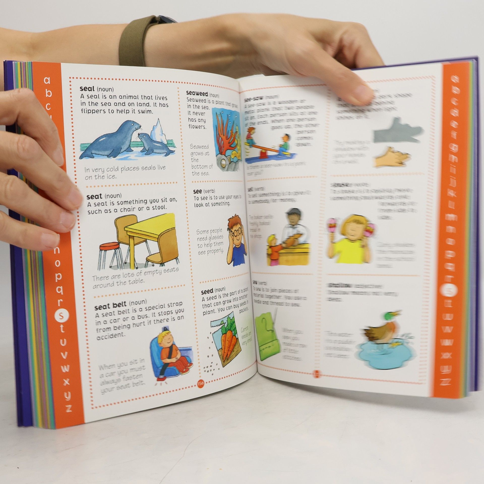Autorenkollektiv Children's Illustrated Dictionary