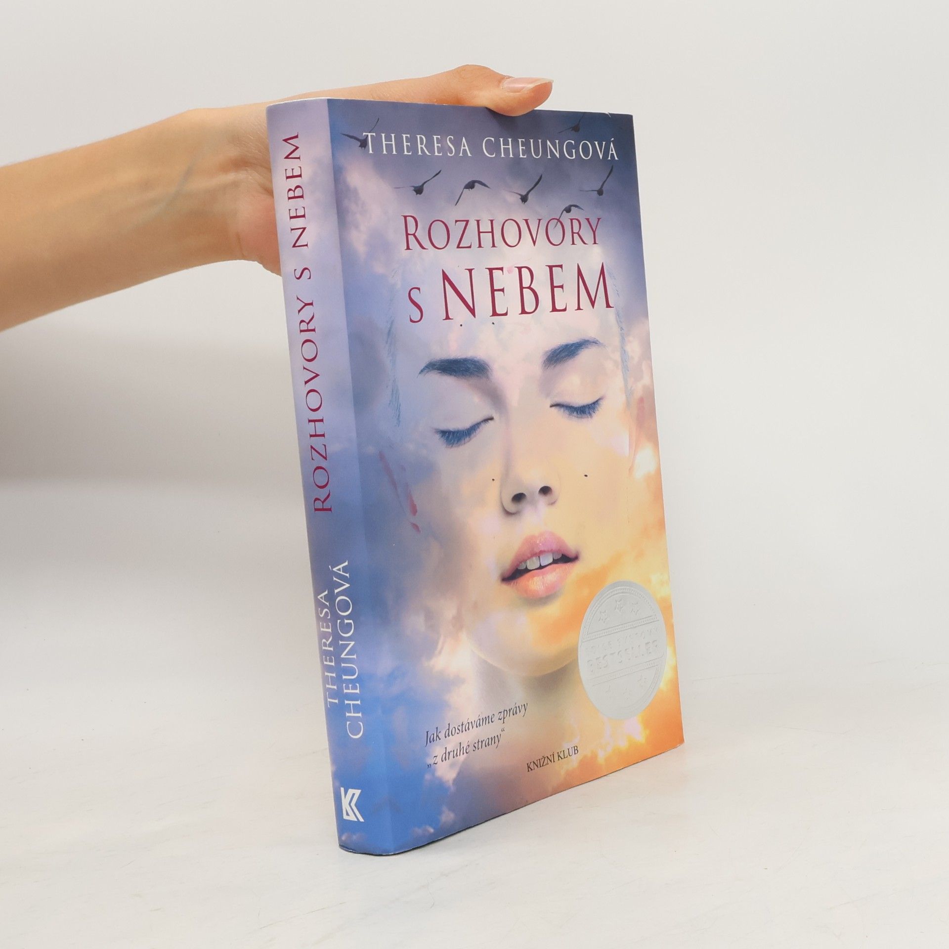Theresa Francis-Cheung Rozhovory s nebem