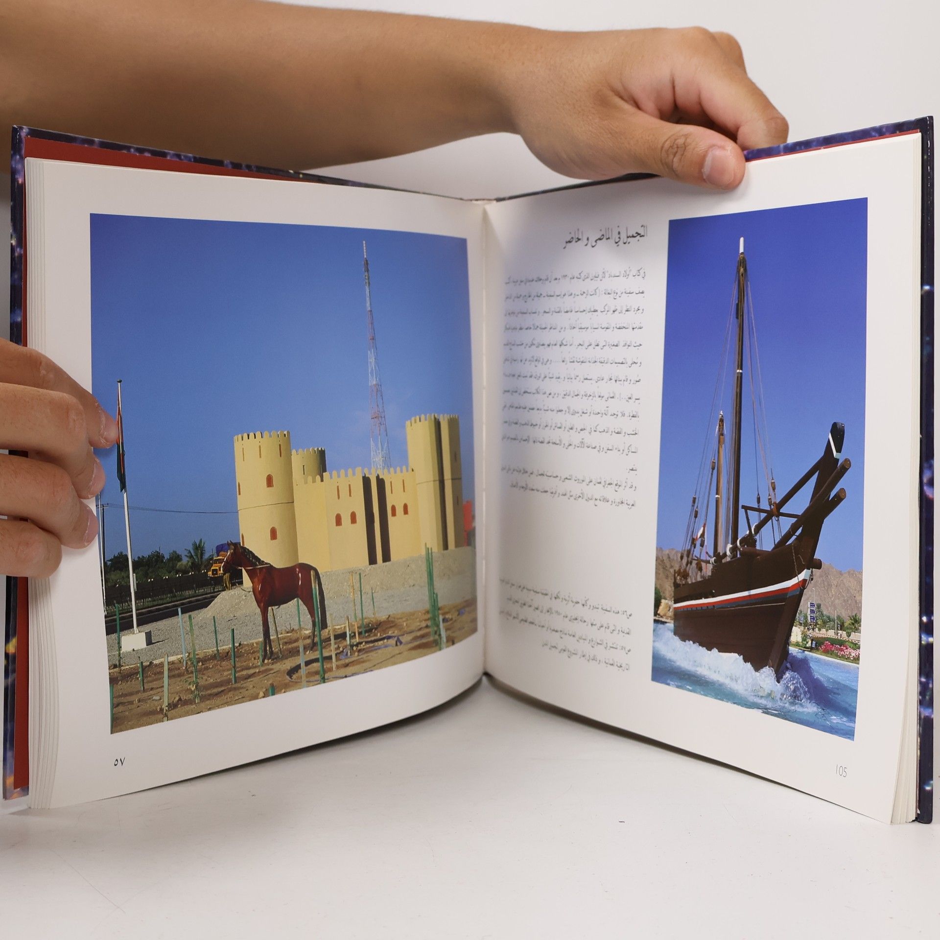 Georg Popp Oman, das andere Arabien