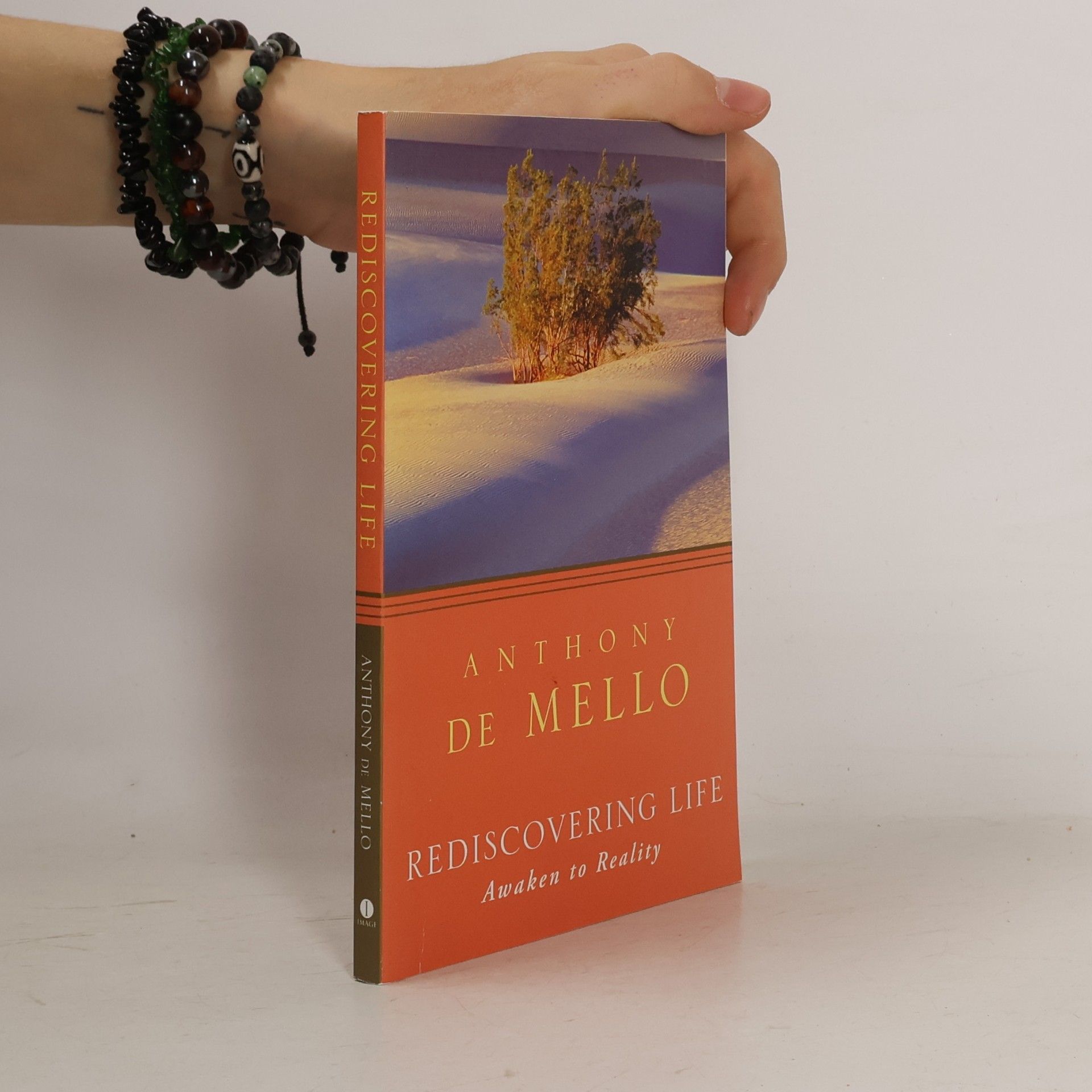 Anthony de Mello Rediscovering Life