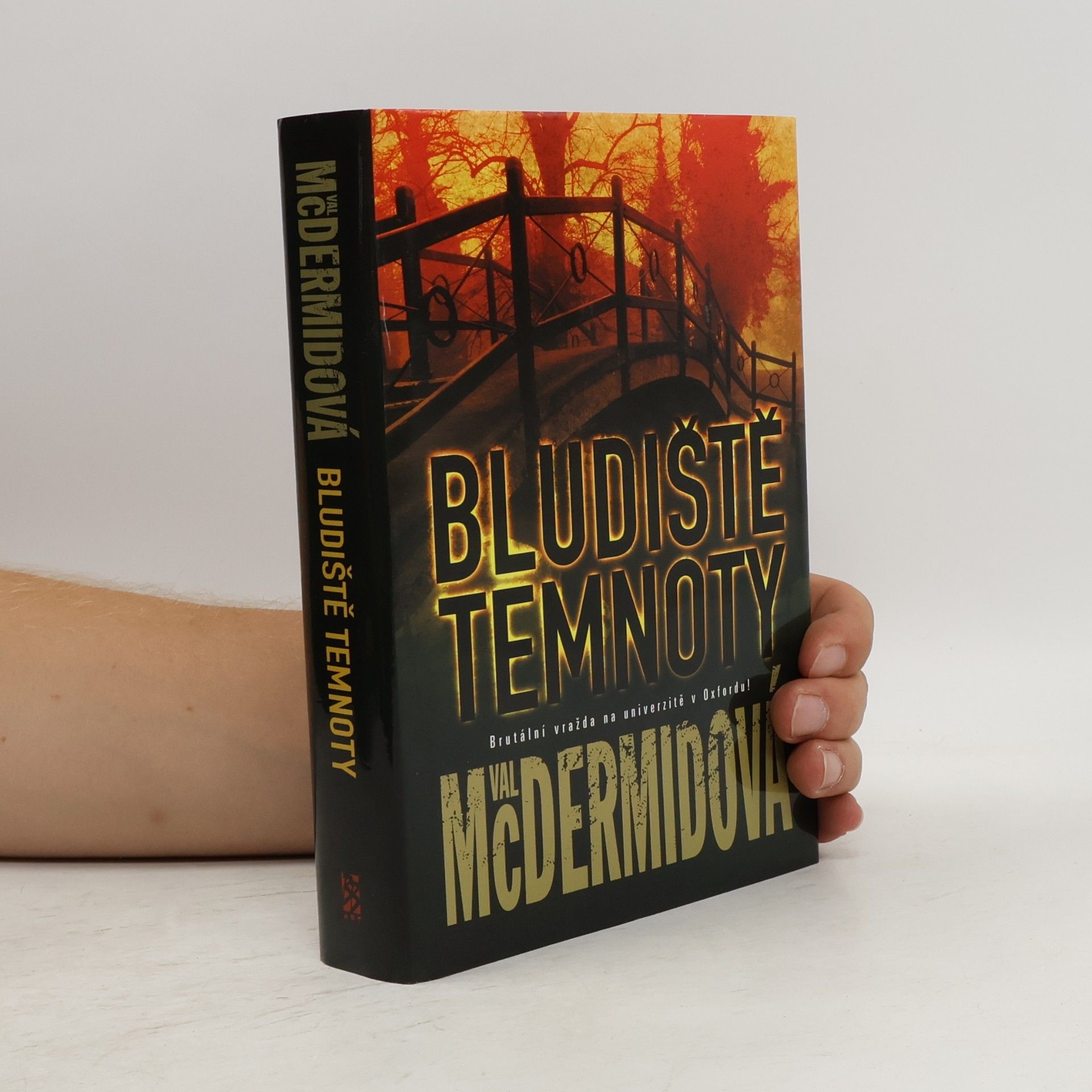 Val McDermid Bludiště temnoty