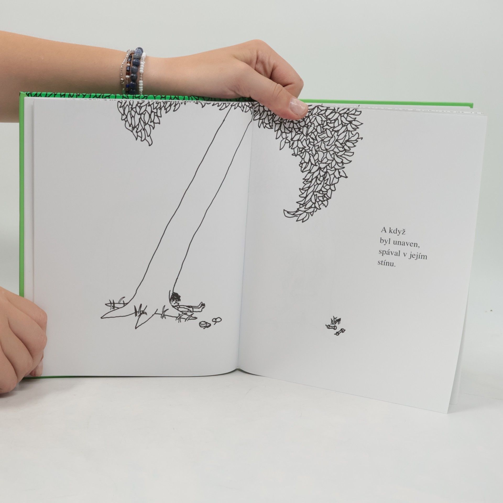 Shel Silverstein O stromu, který dával