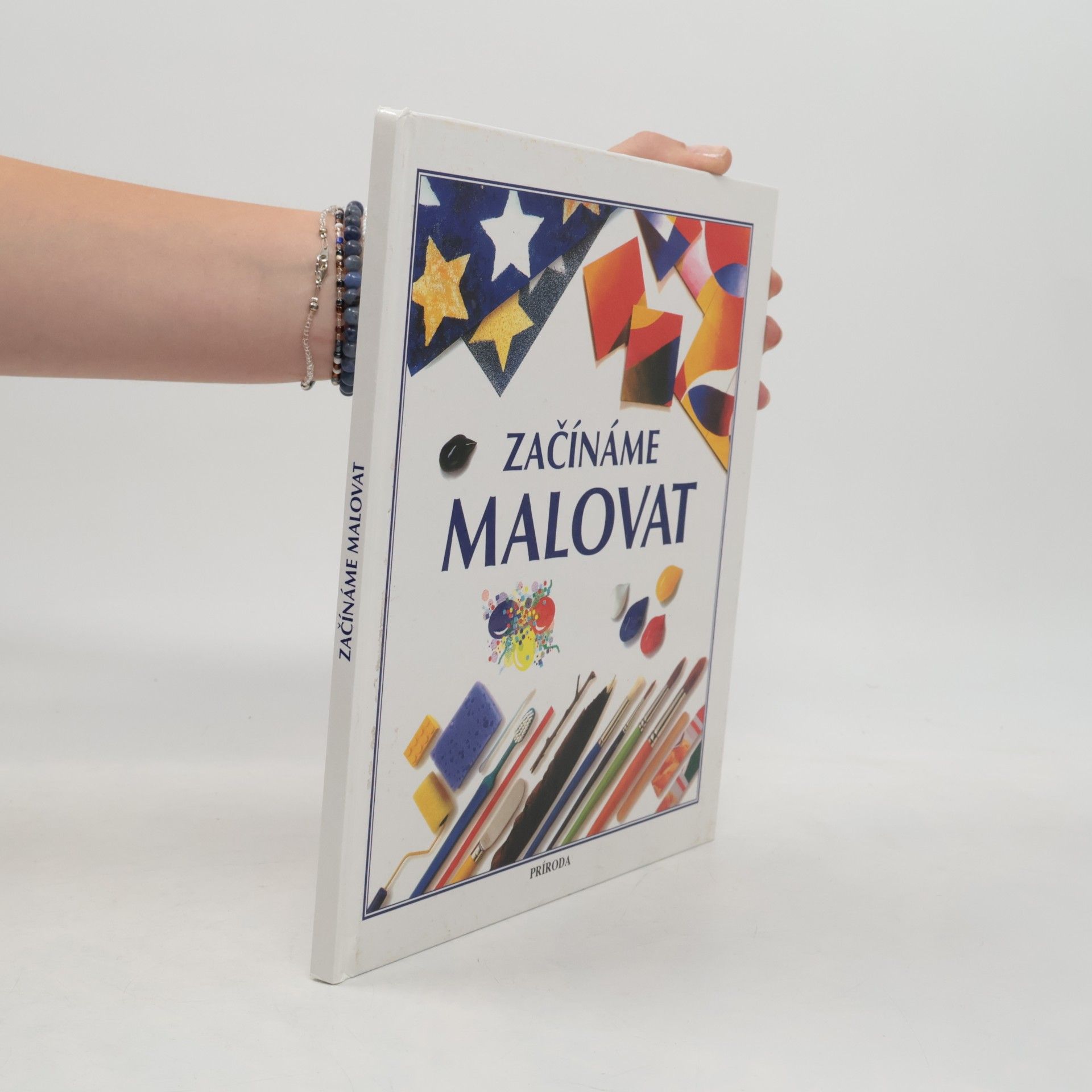Susan Mayes Začínáme malovat