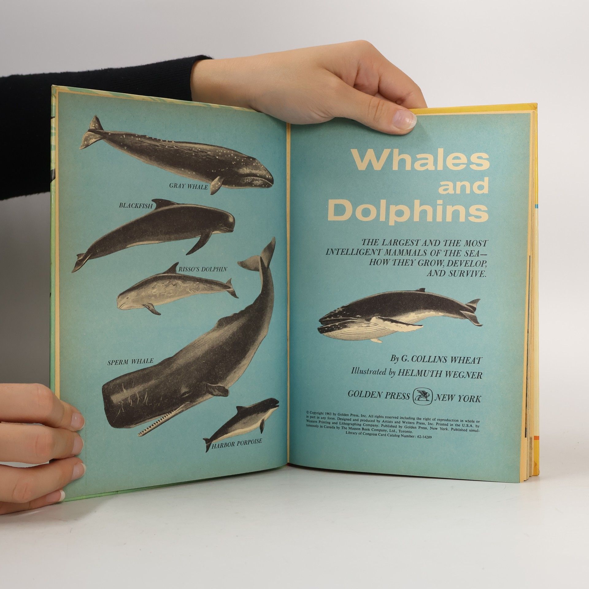 G. Collins Wheat Whales and Dolphins