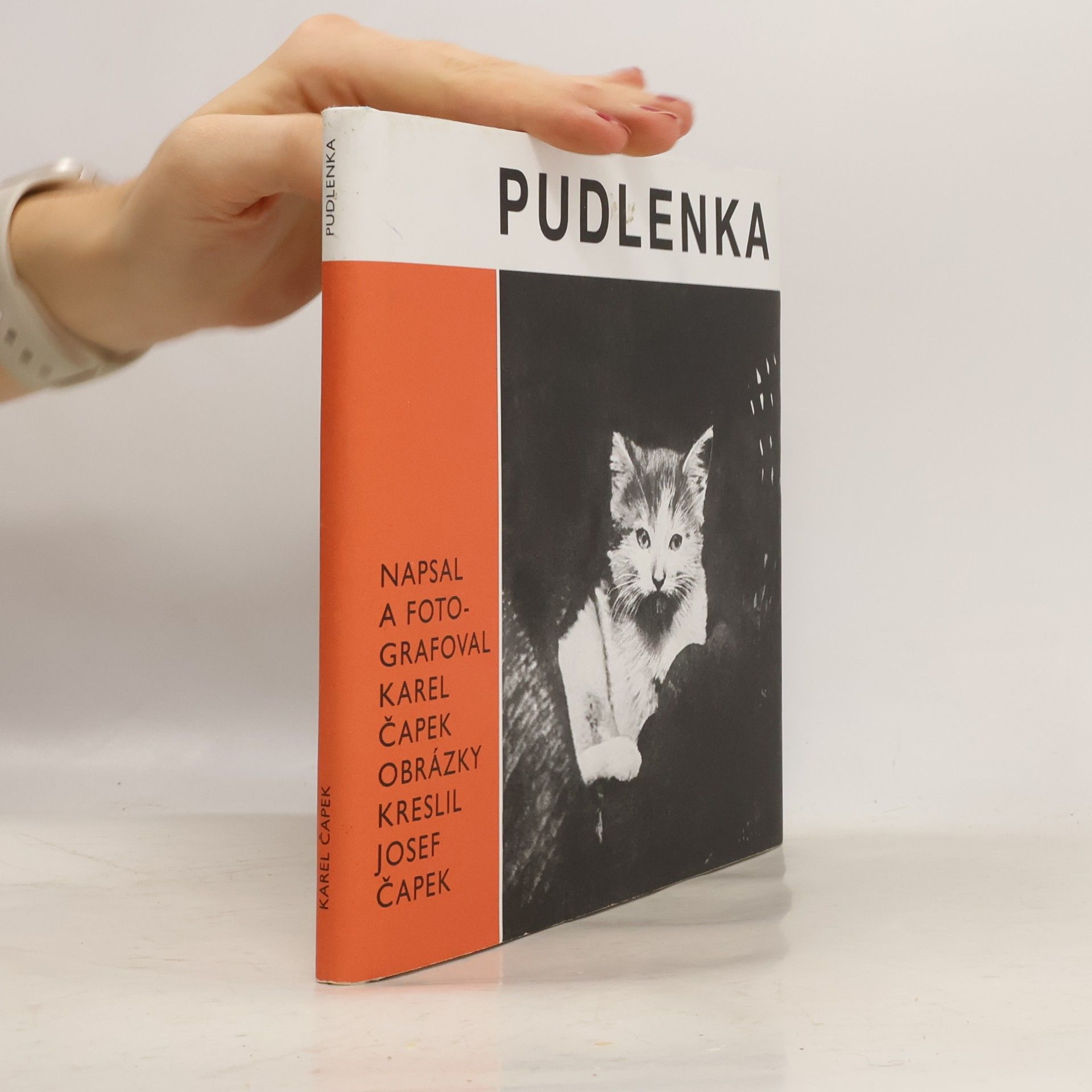 Pudlenka