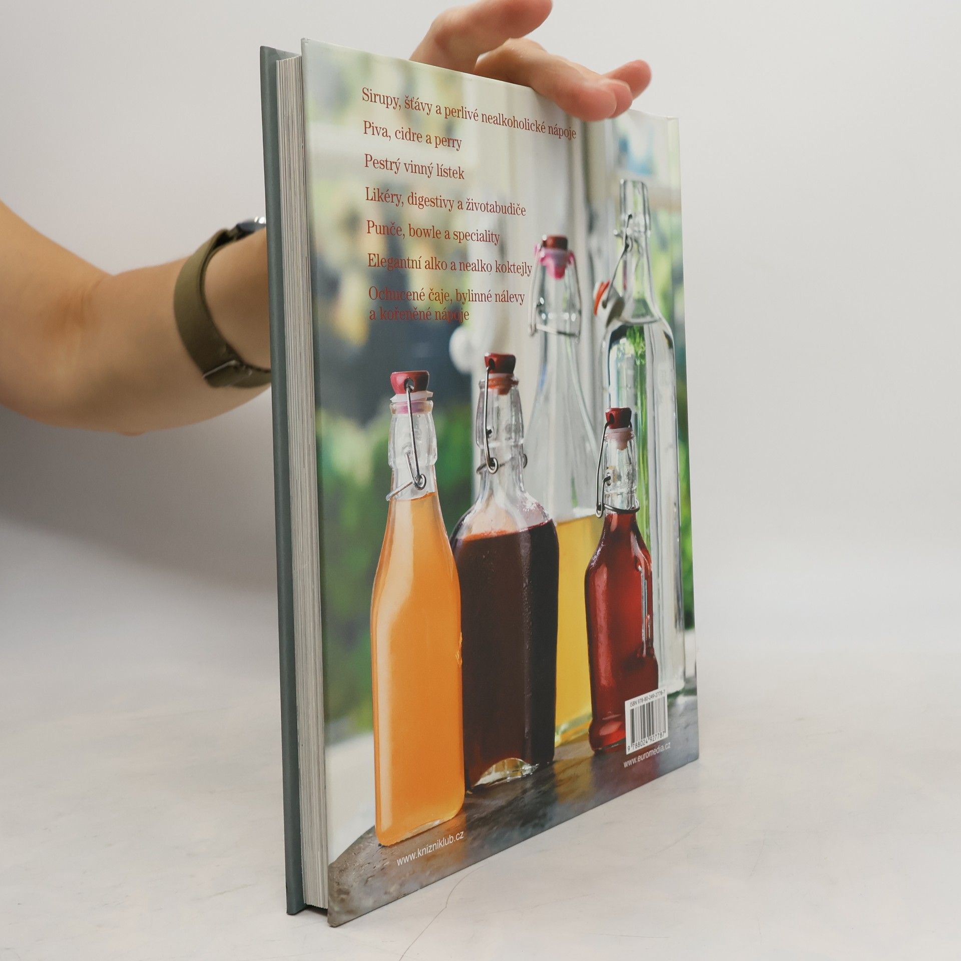 Lindy Wildsmith Domácí nápoje s alkoholem i bez něj