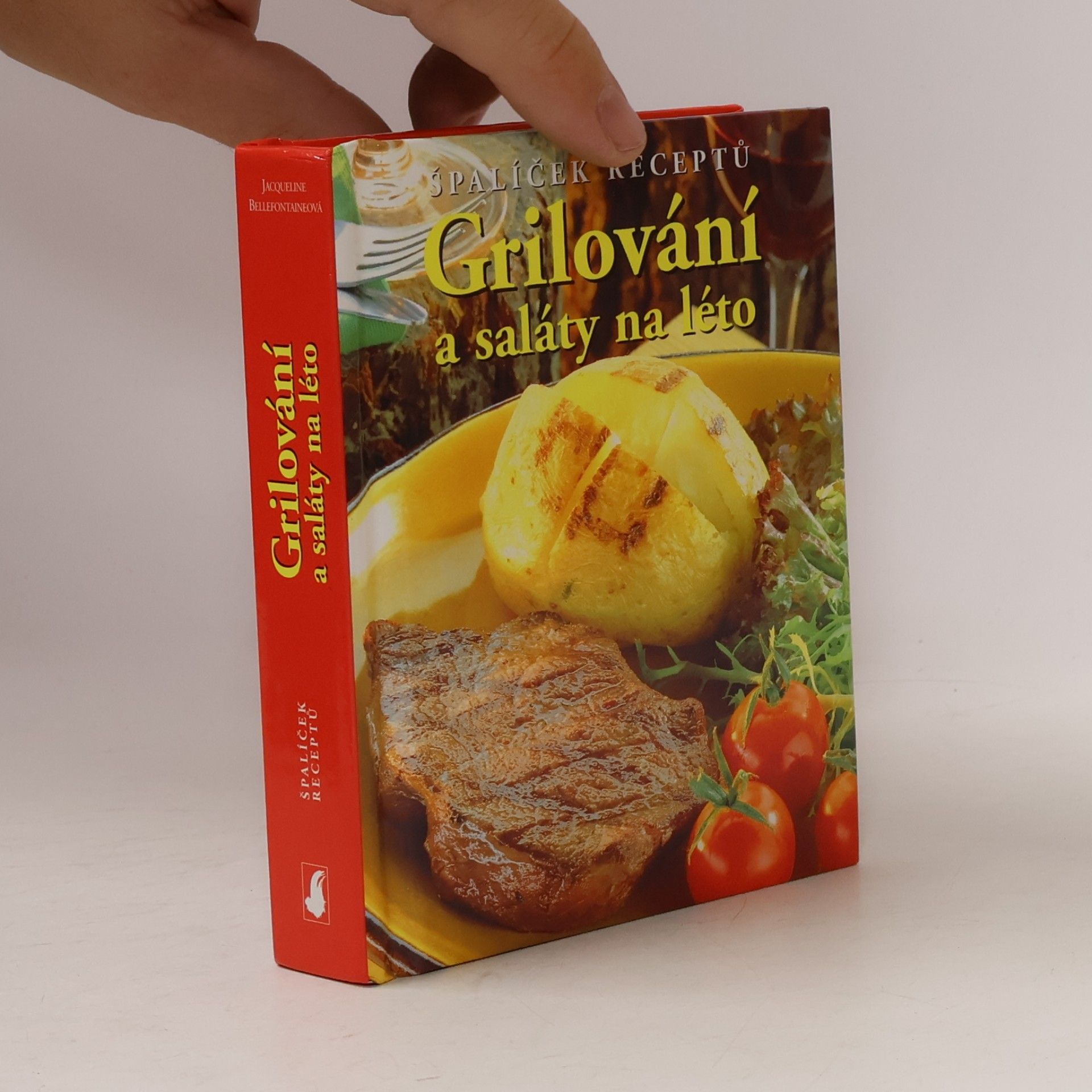 Grilování a saláty na léto