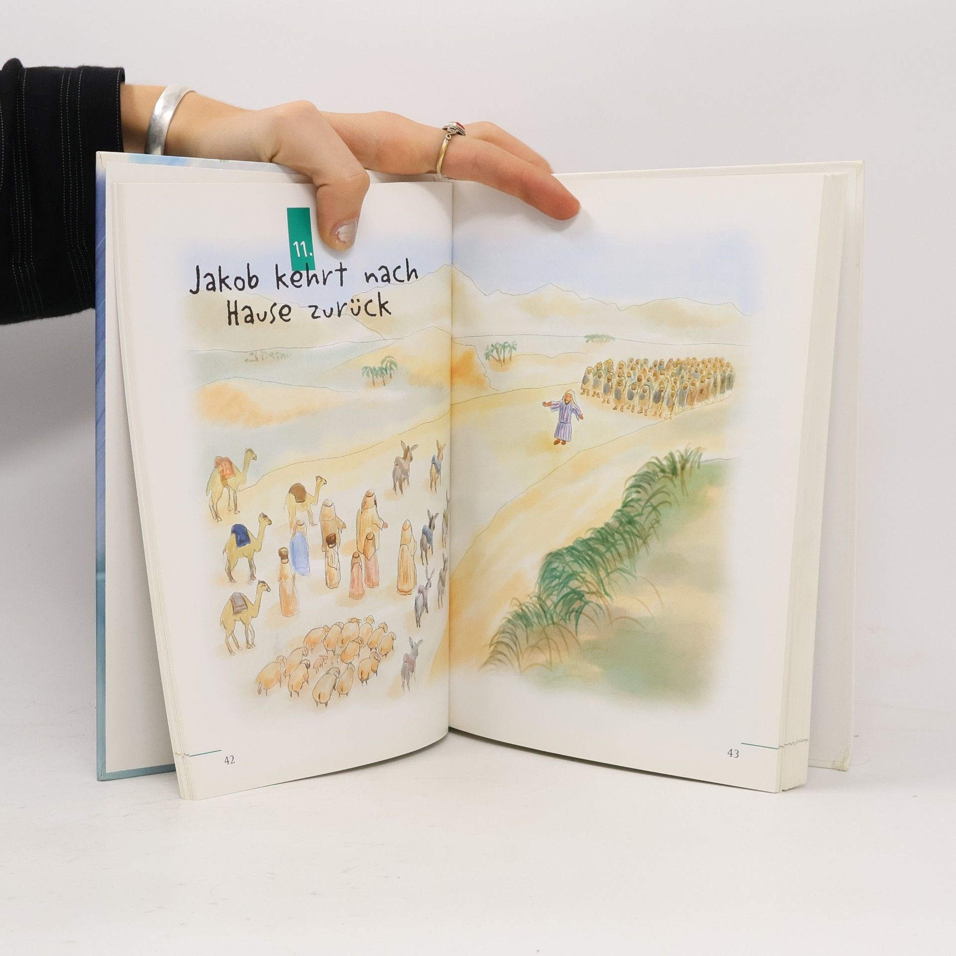 Various authors Die neue bilder Bibel für Kinder