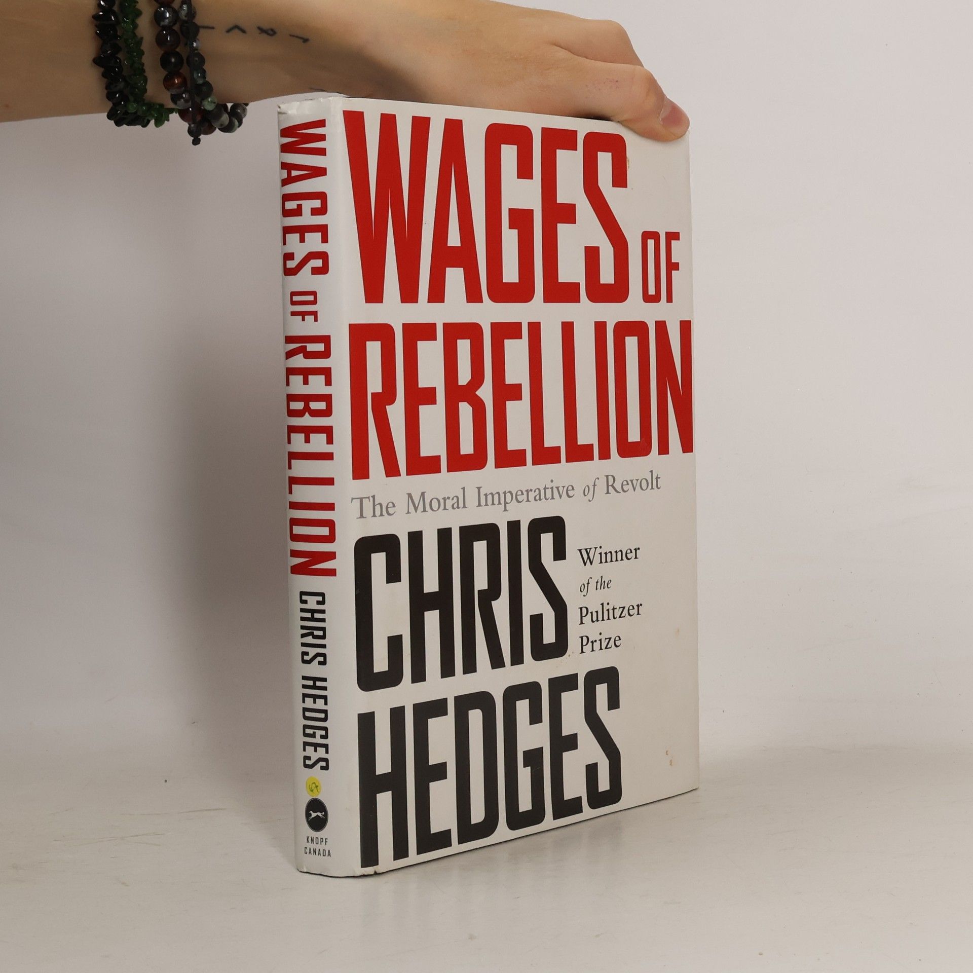 Chris Hedges Wages of Rebellion
