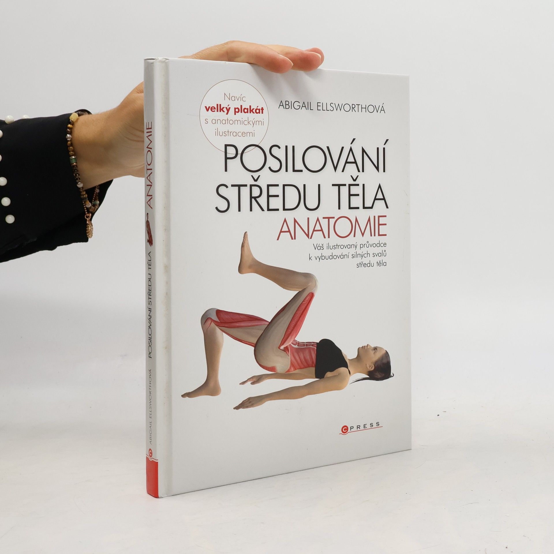 Abby Ellsworth Posilování středu těla - anatomie