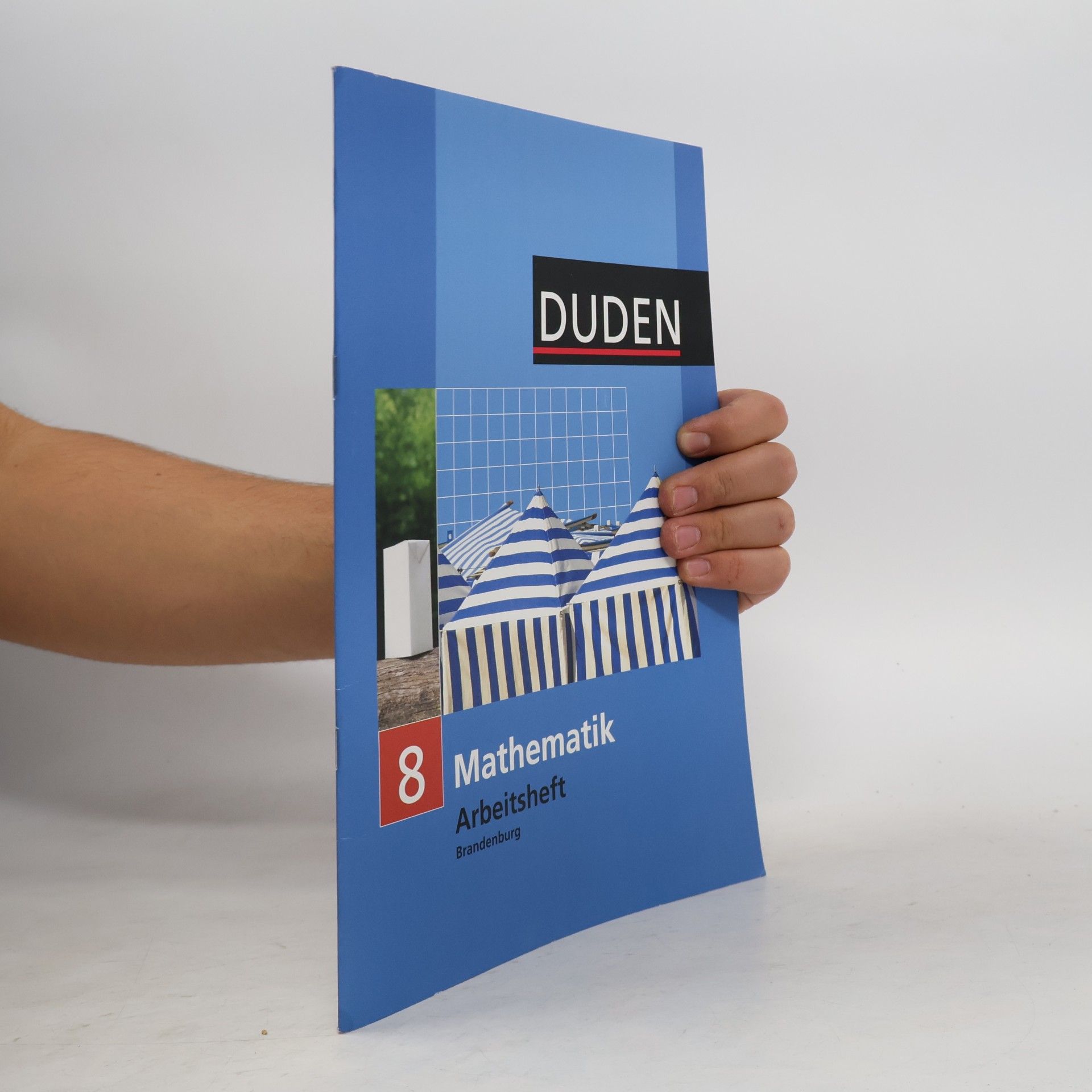 Duden - 8: Mathematik