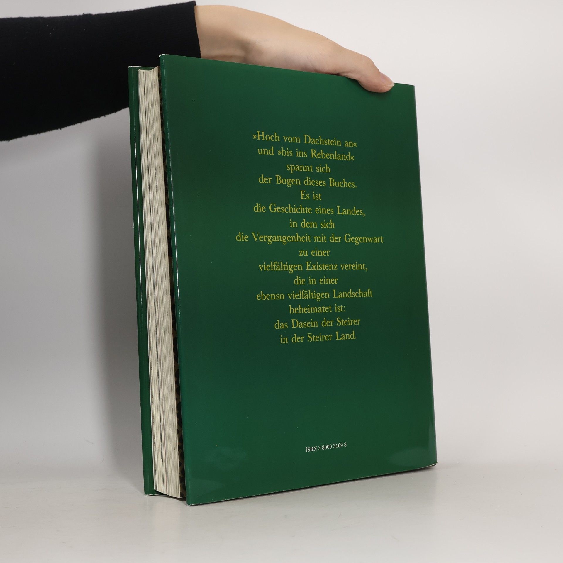 Walter Zitzenbacher Das grosse Steiermark-Buch