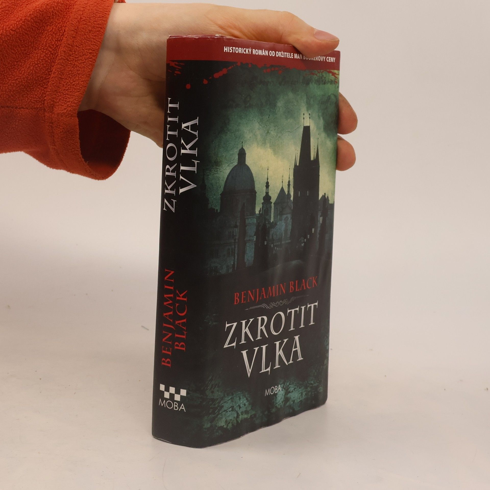 John Banville Zkrotit vlka