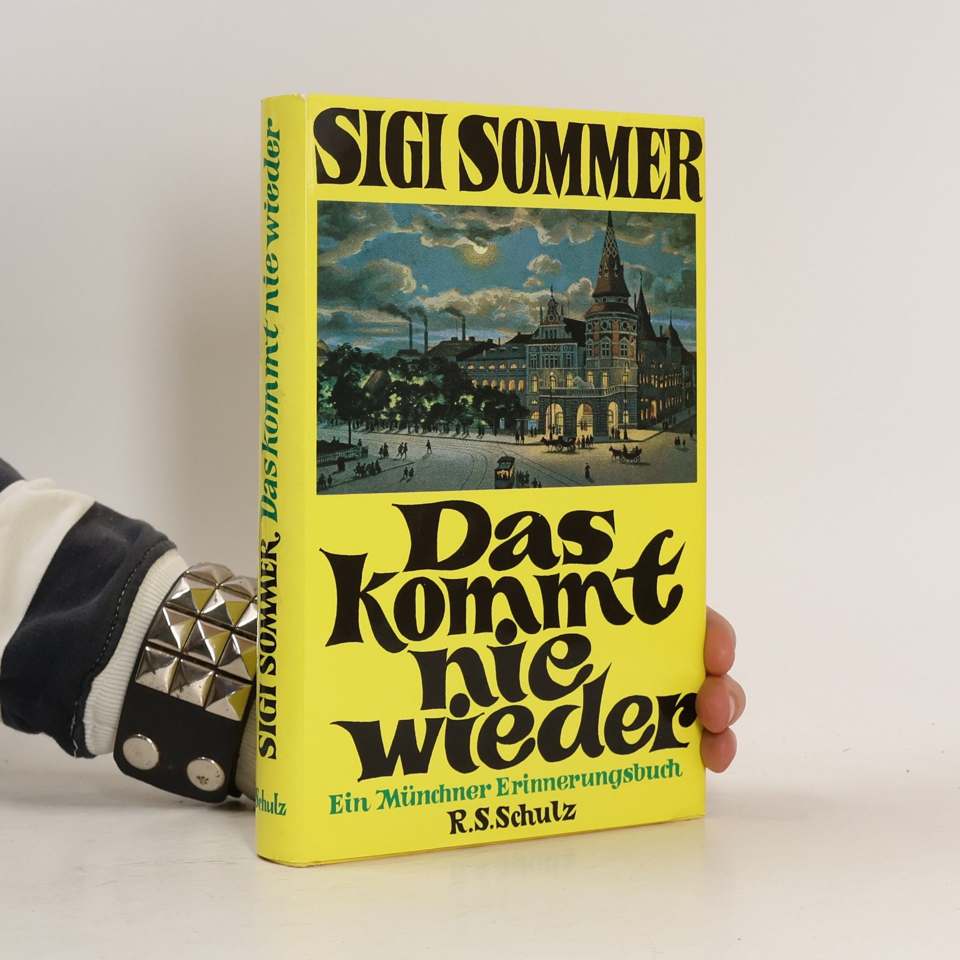 Siegfried Sommer Das kommt nie wieder