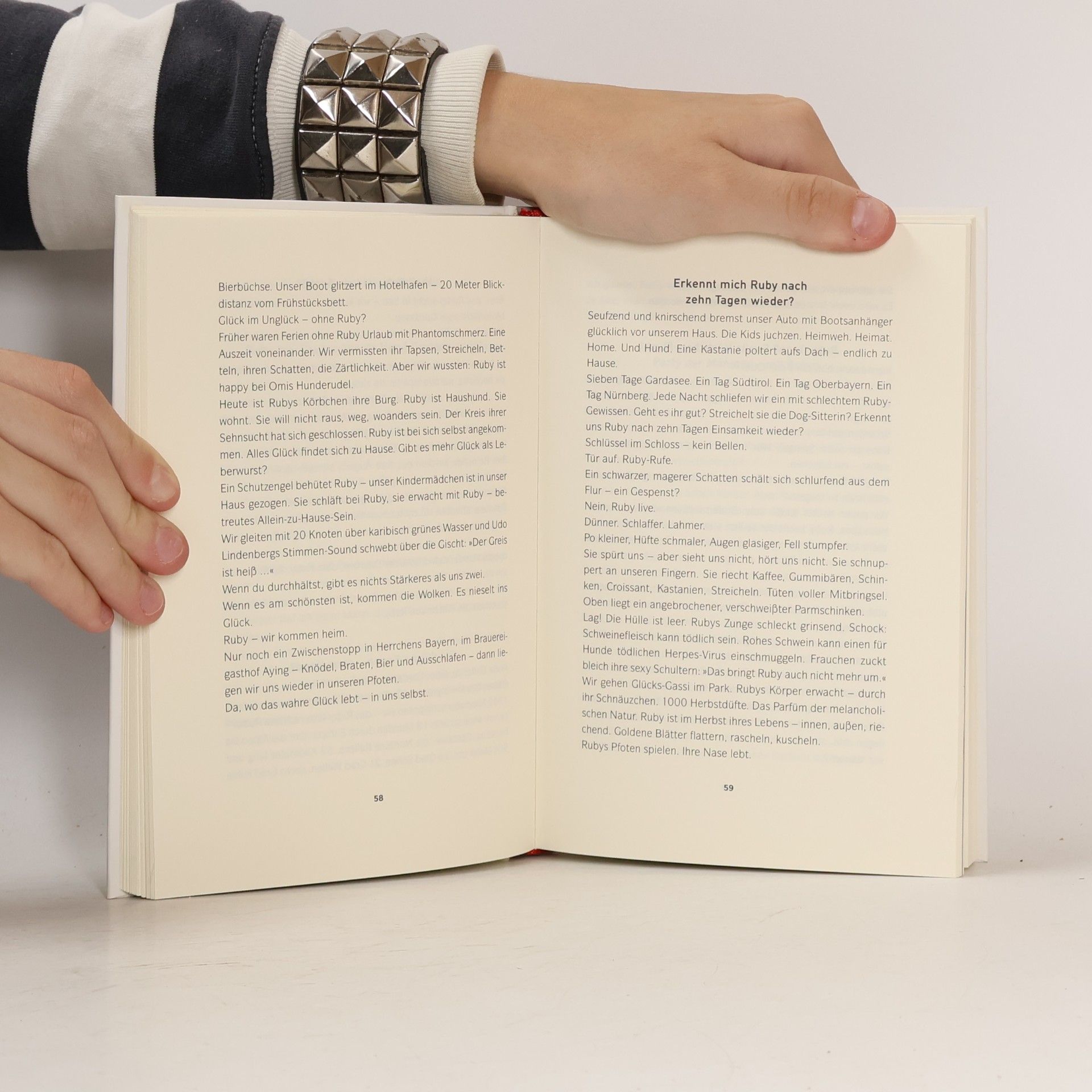 Norbert Körzdörfer Kein Leben ohne Hund