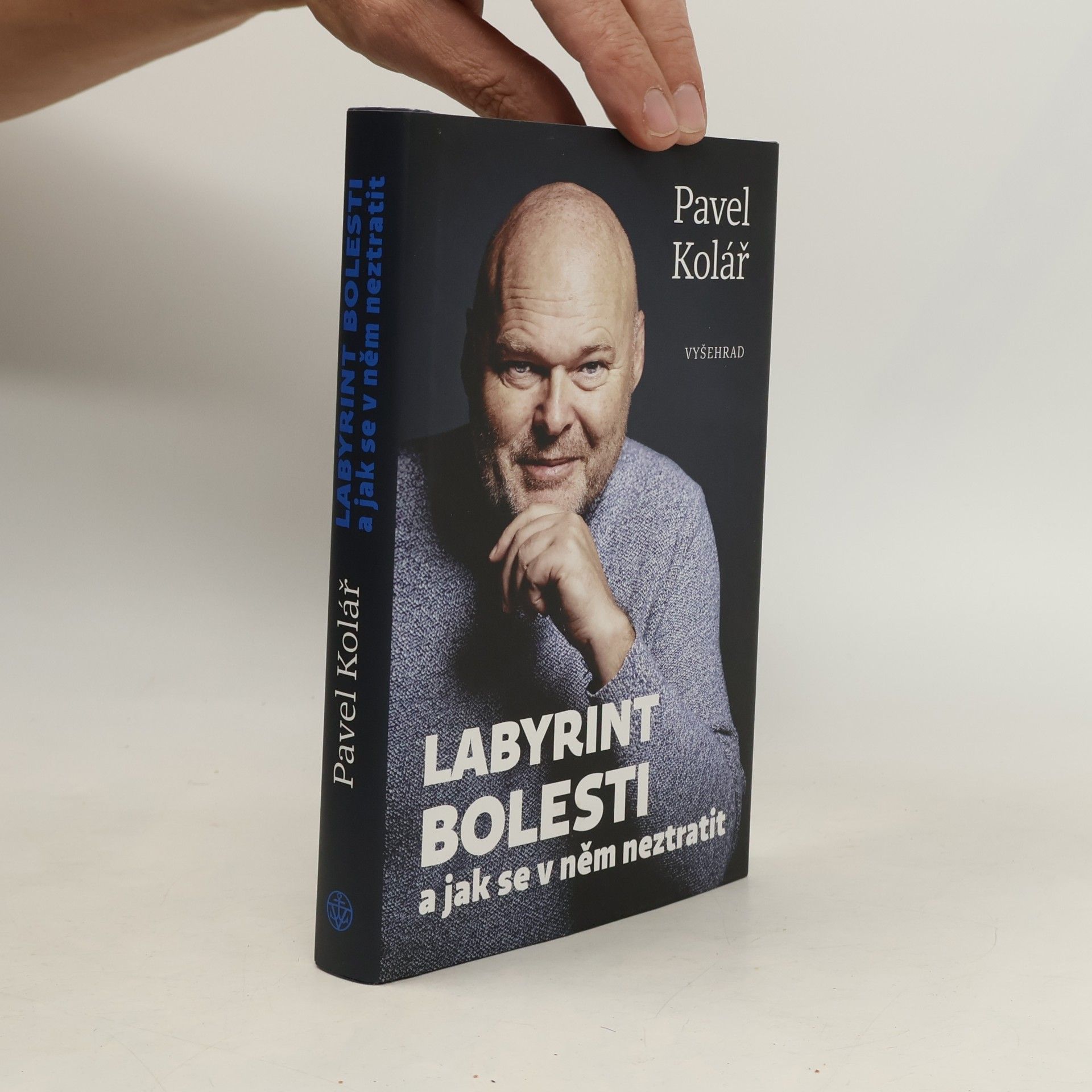 Pavel Kolář Labyrint bolesti a jak se v něm neztratit