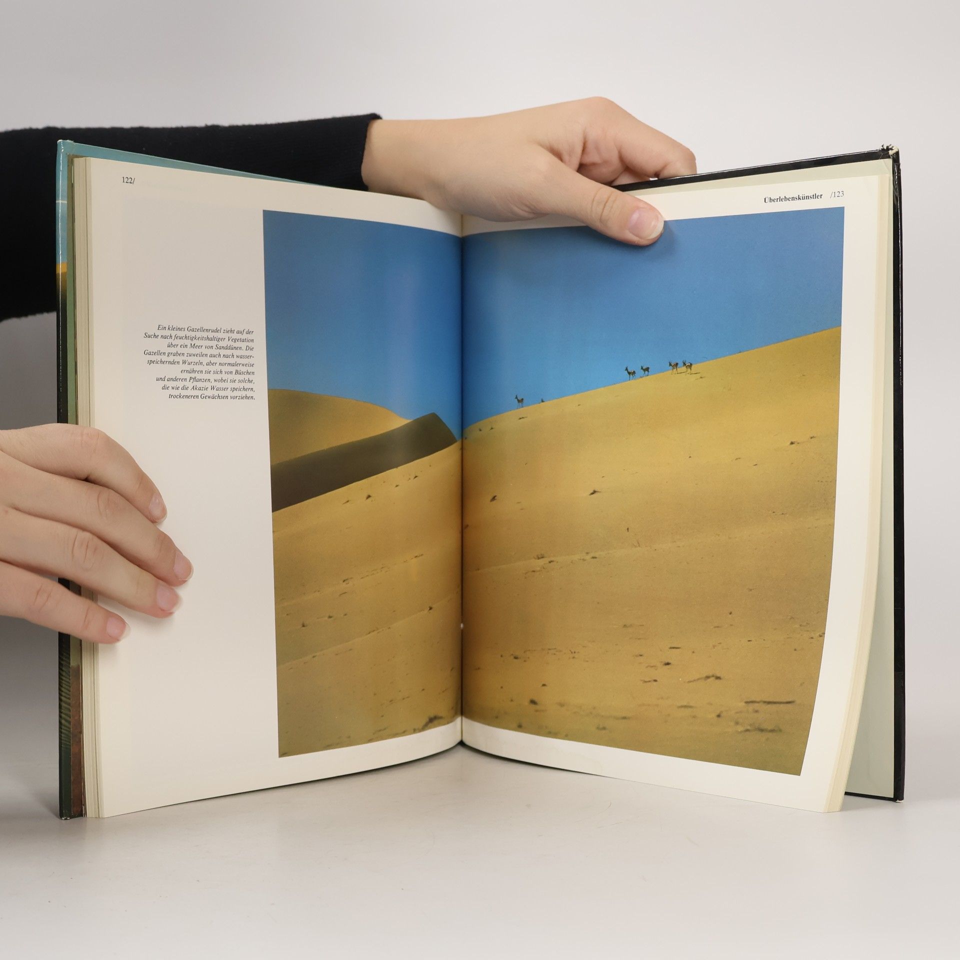 Autorenkollektiv Die Sahara