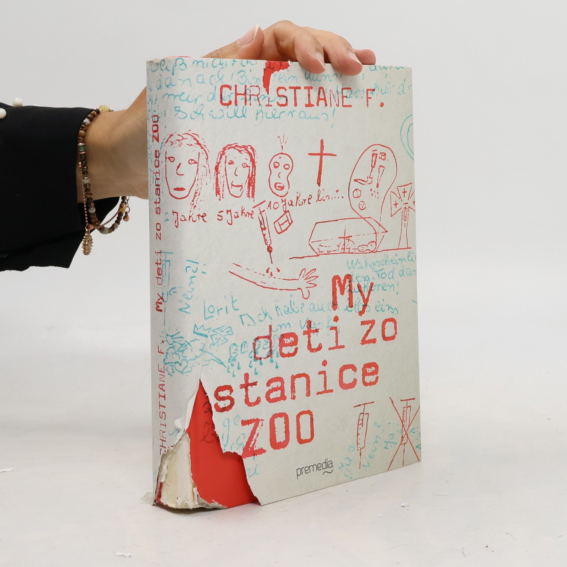 Christiane F. My deti zo stanice ZOO