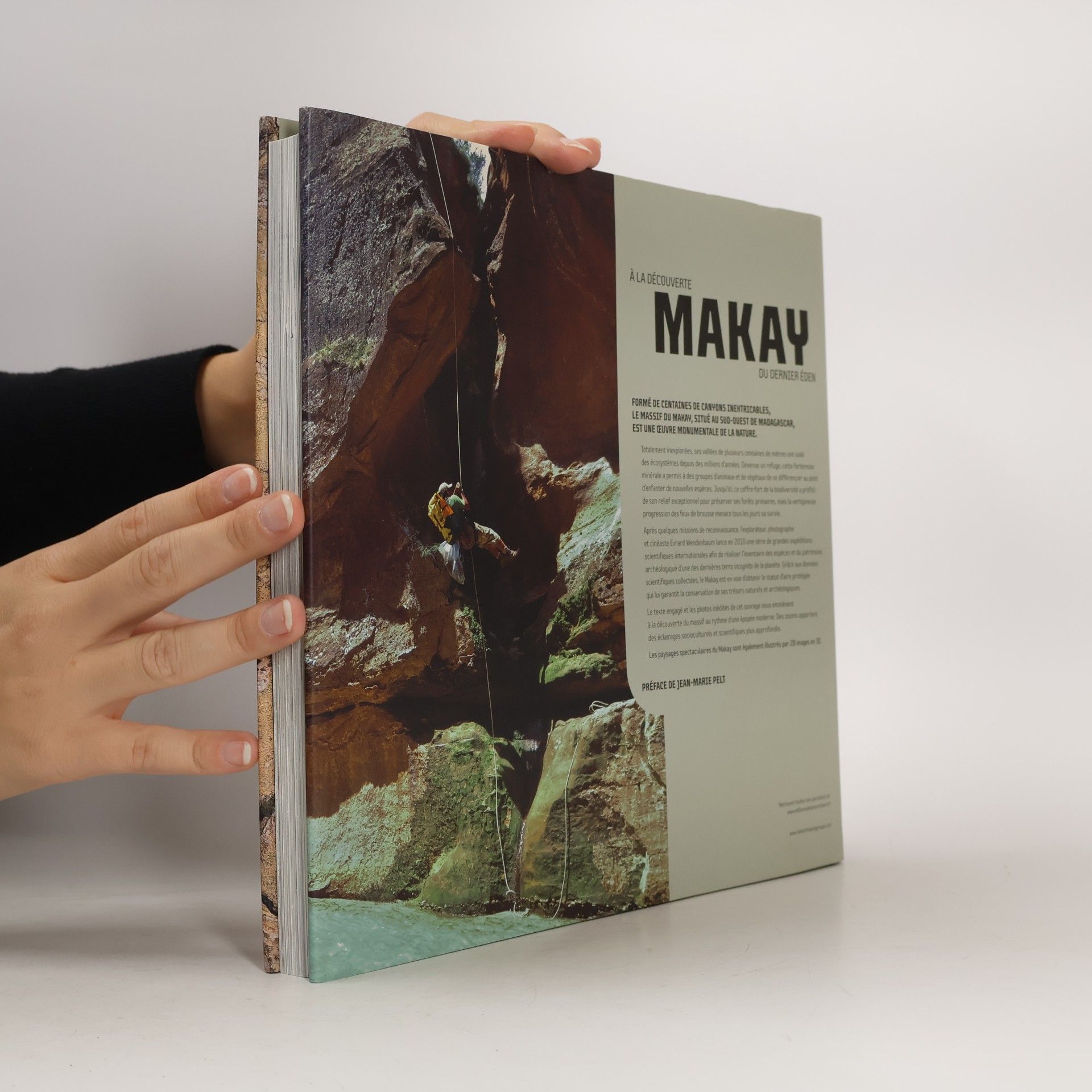 Evrard Wendenbaum Makay