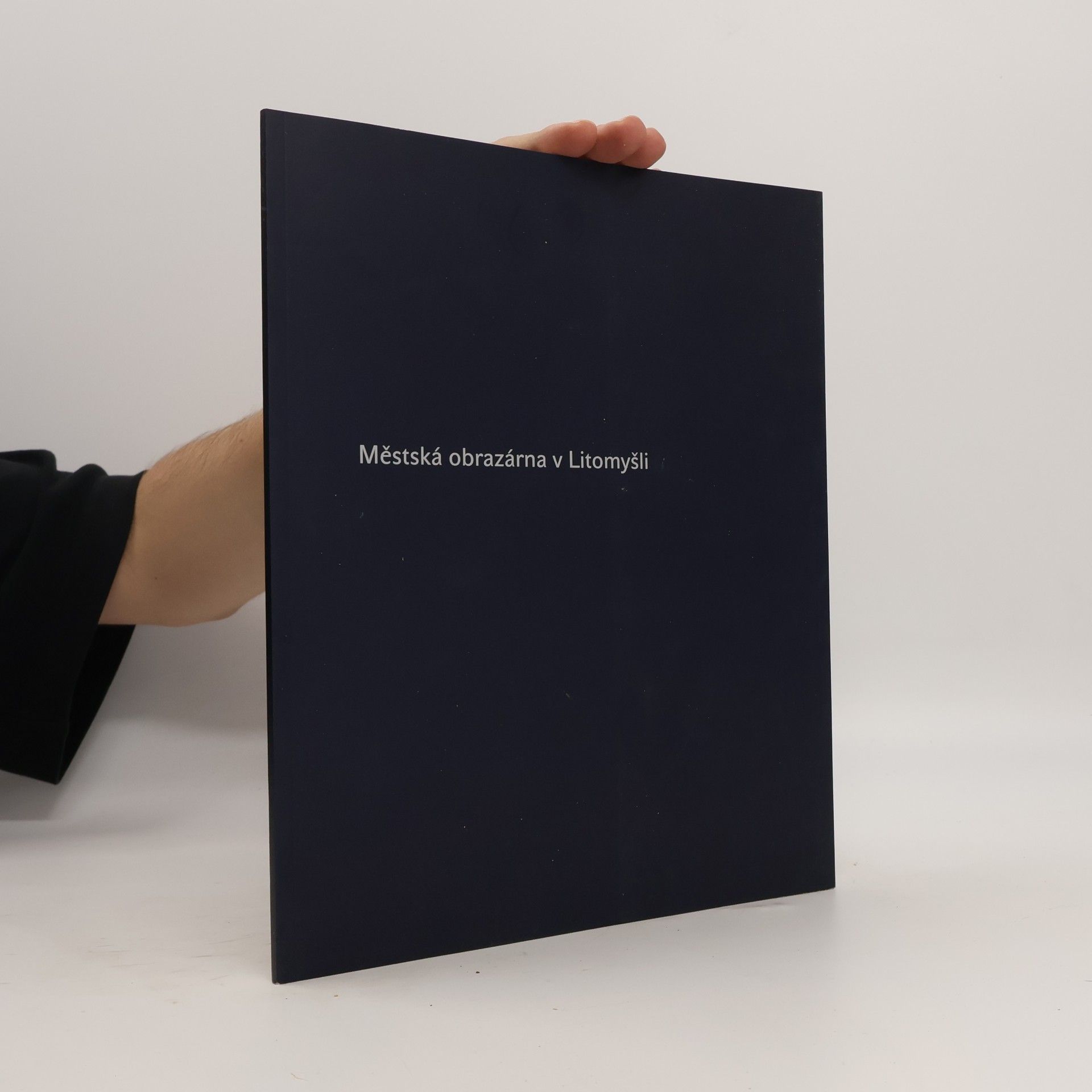 Městská obrazárna v Litomyšli : katalog stálé expozice výtvarného umění Muzea a galerie Litomyšl