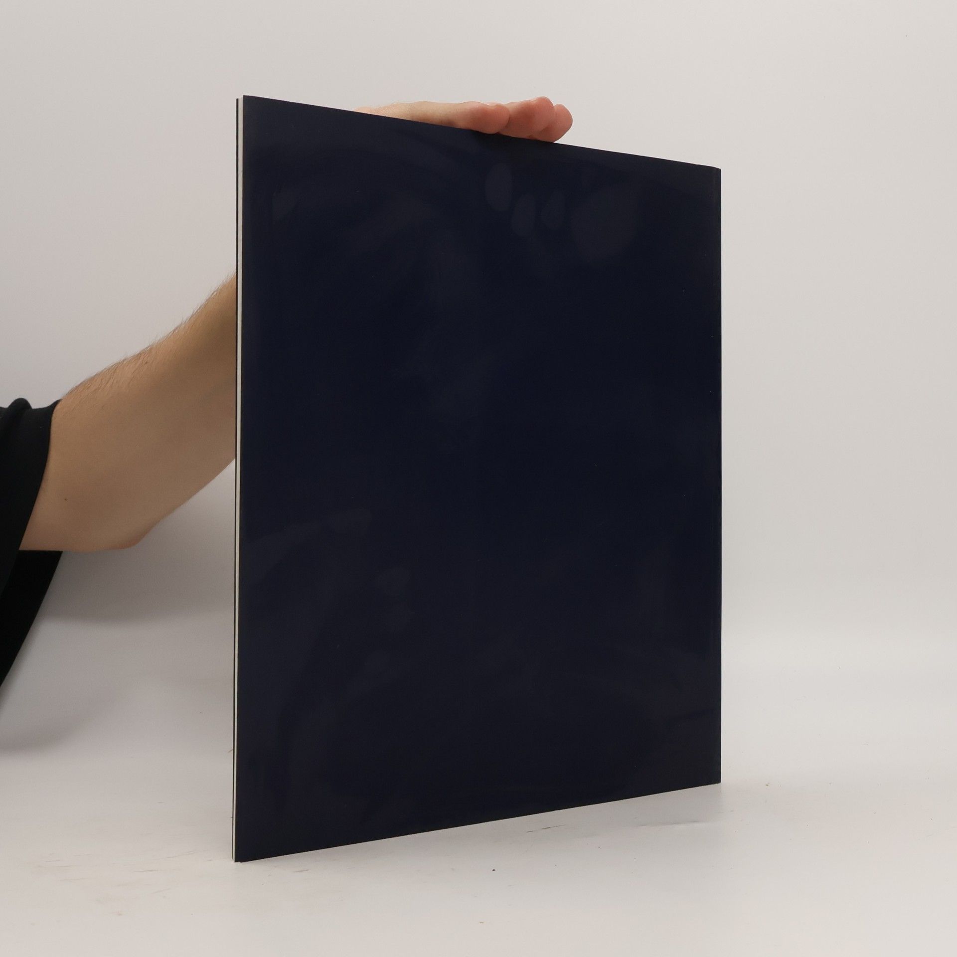 František Dvořák Městská obrazárna v Litomyšli : katalog stálé expozice výtvarného umění Muzea a galerie Litomyšl