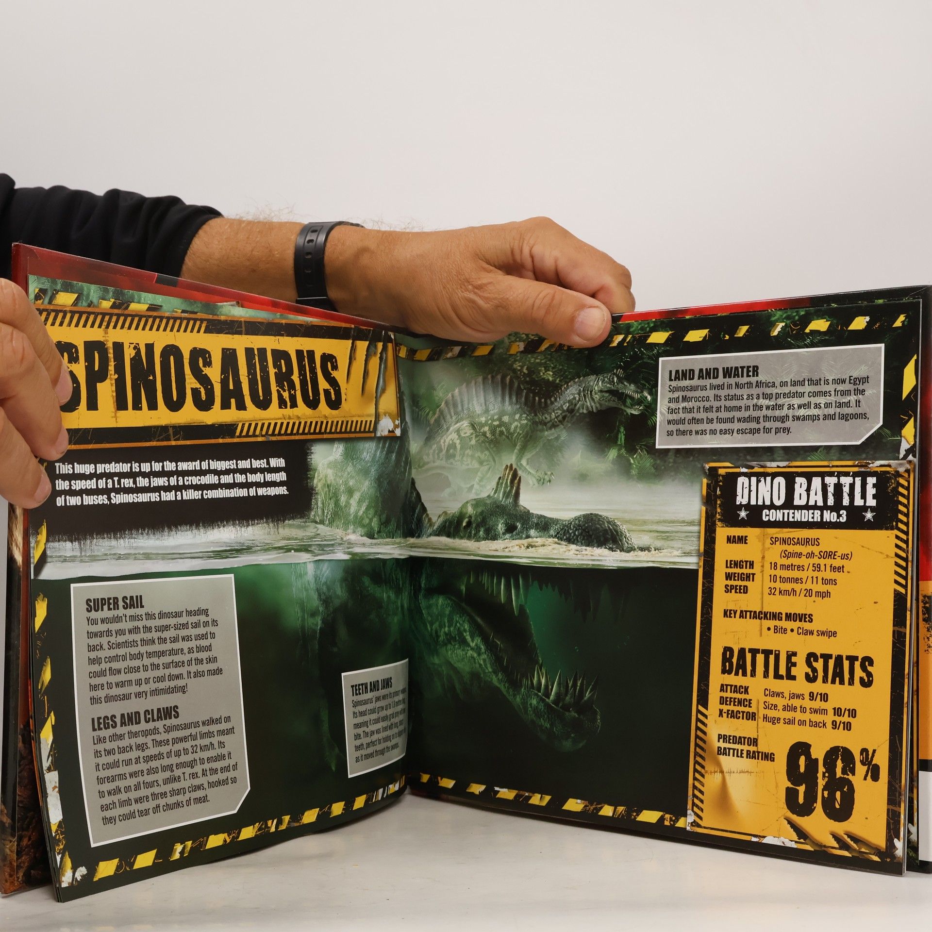 Anna Brett Battling Dinosaurs