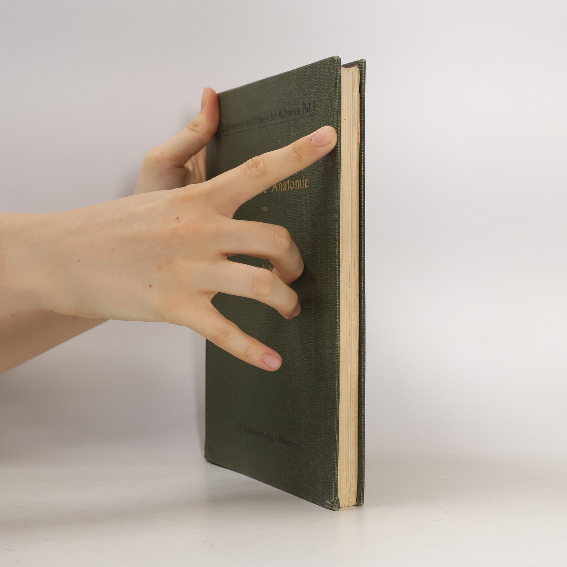 Joh. Sobotta Deskriptive Anatomie 2
