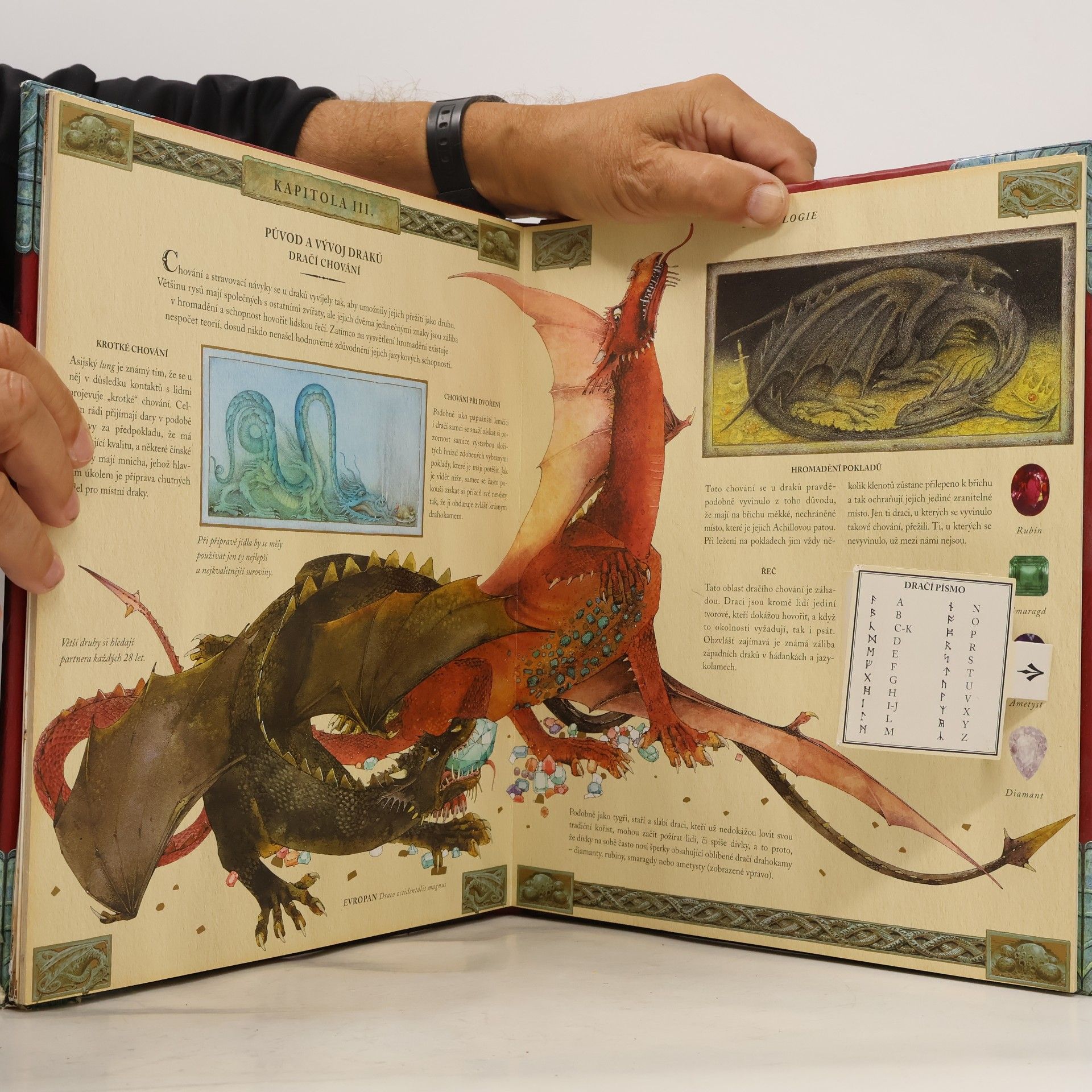 Dugald A. Steer Drakologie - kompletní kniha o dracích