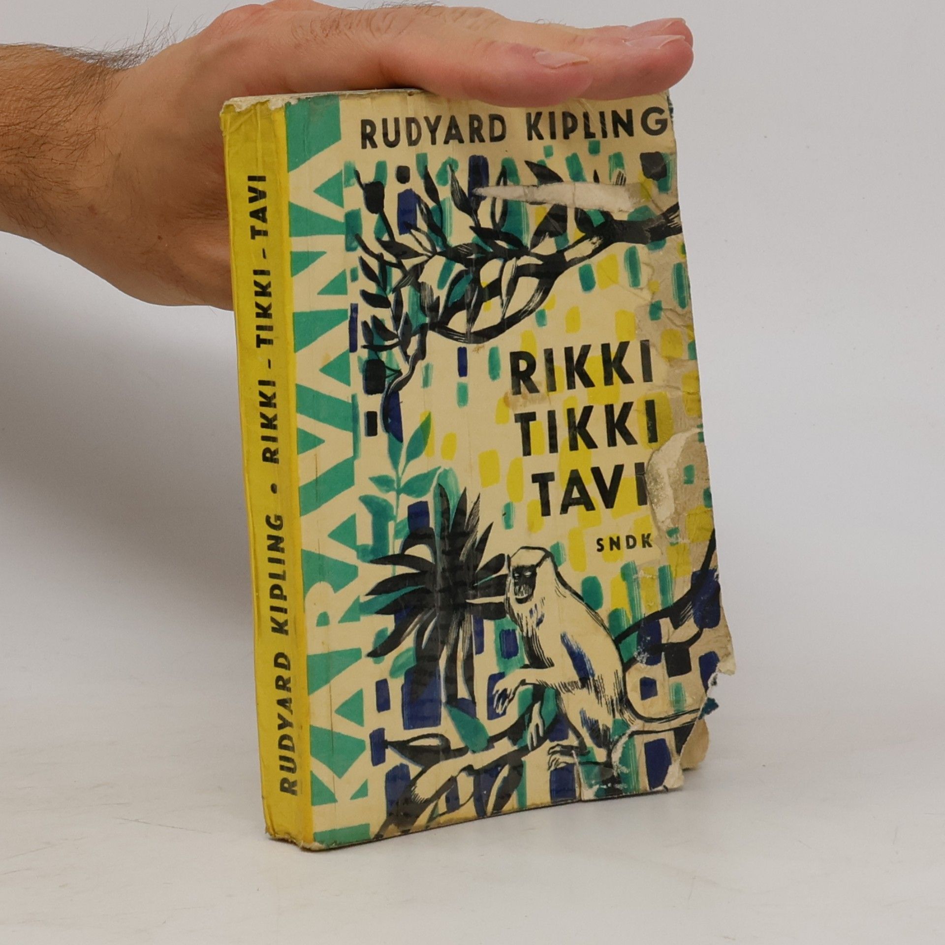 Rudyard Kipling Rikki-tikki-tavi a jiné povídky o zvířatech